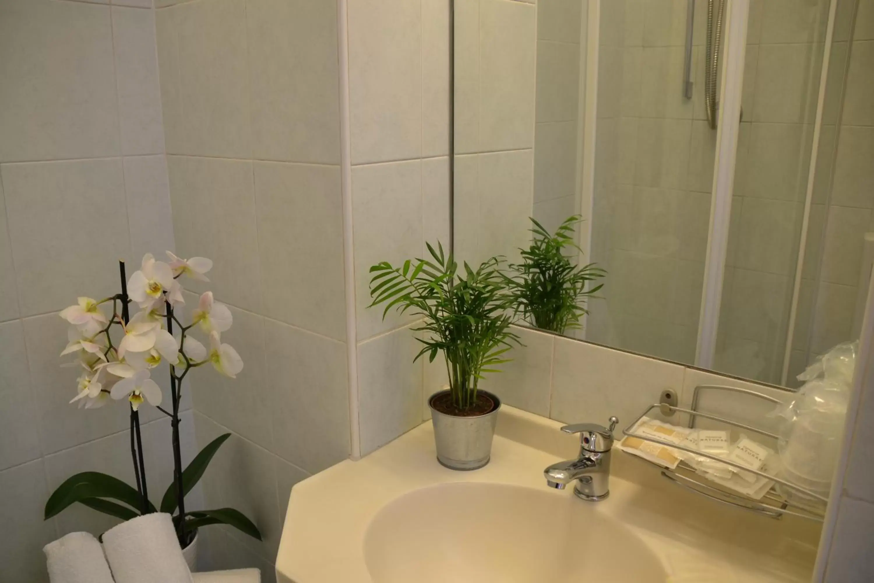 Double or Twin Room in Hotel Apogeo Double or Twin Room in Hotel Apogeo