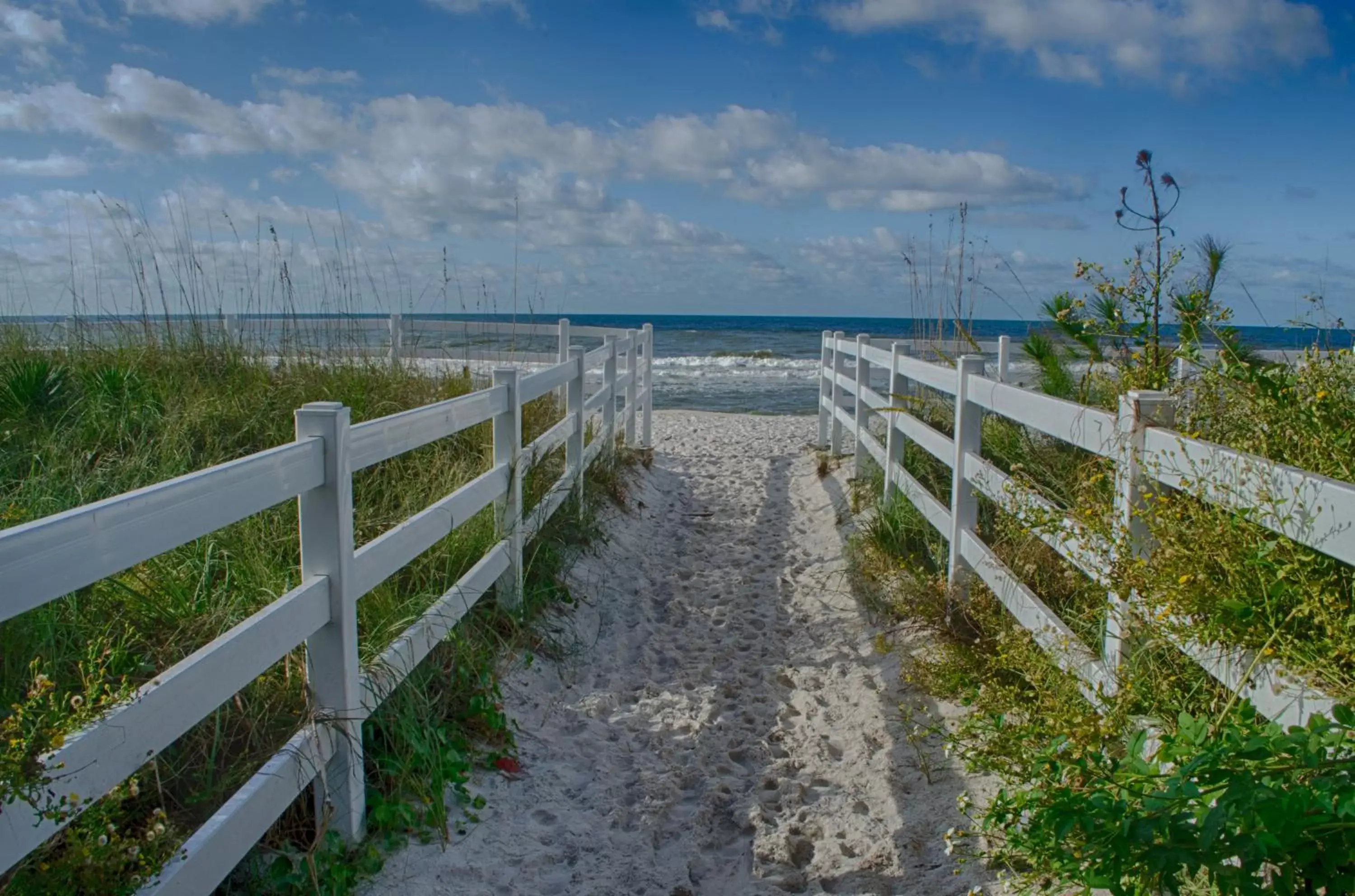 View (from property/room), Natural Landscape in Casa Loma Panama City Beach - Beachfront