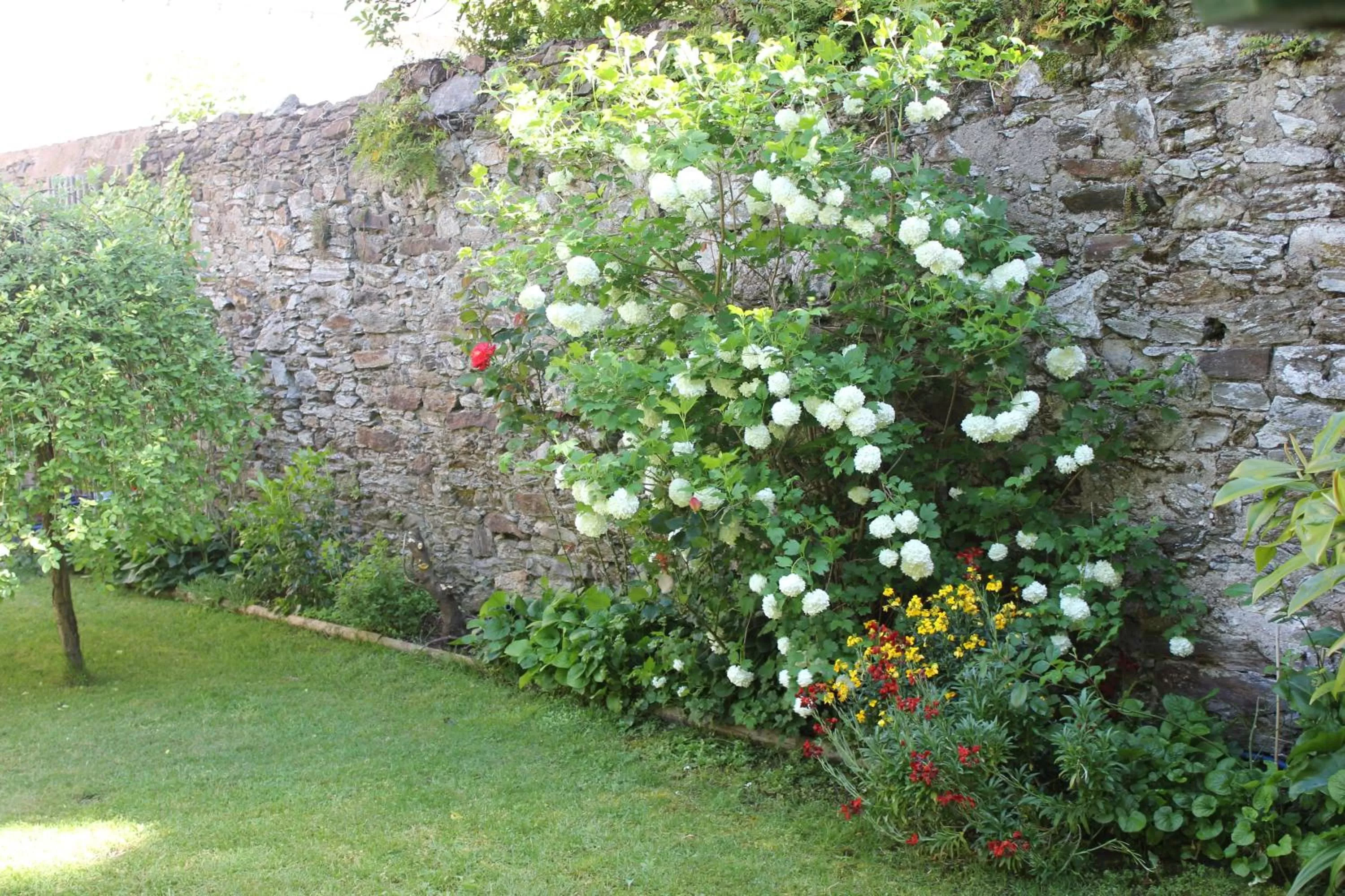 Garden in Hôtel Coeur De Loire