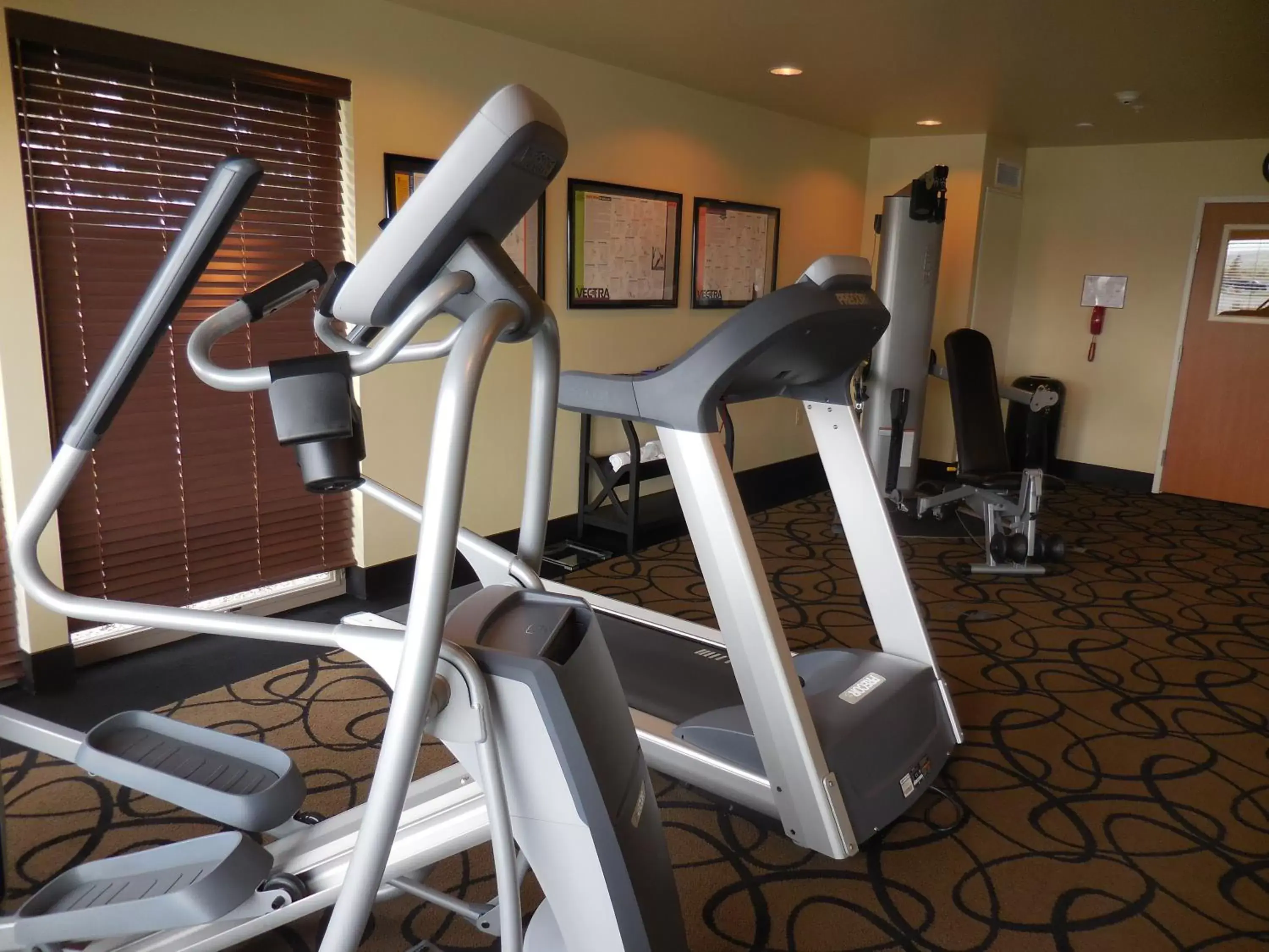 Fitness centre/facilities, Fitness Center/Facilities in Aspen Suites Hotel Haines