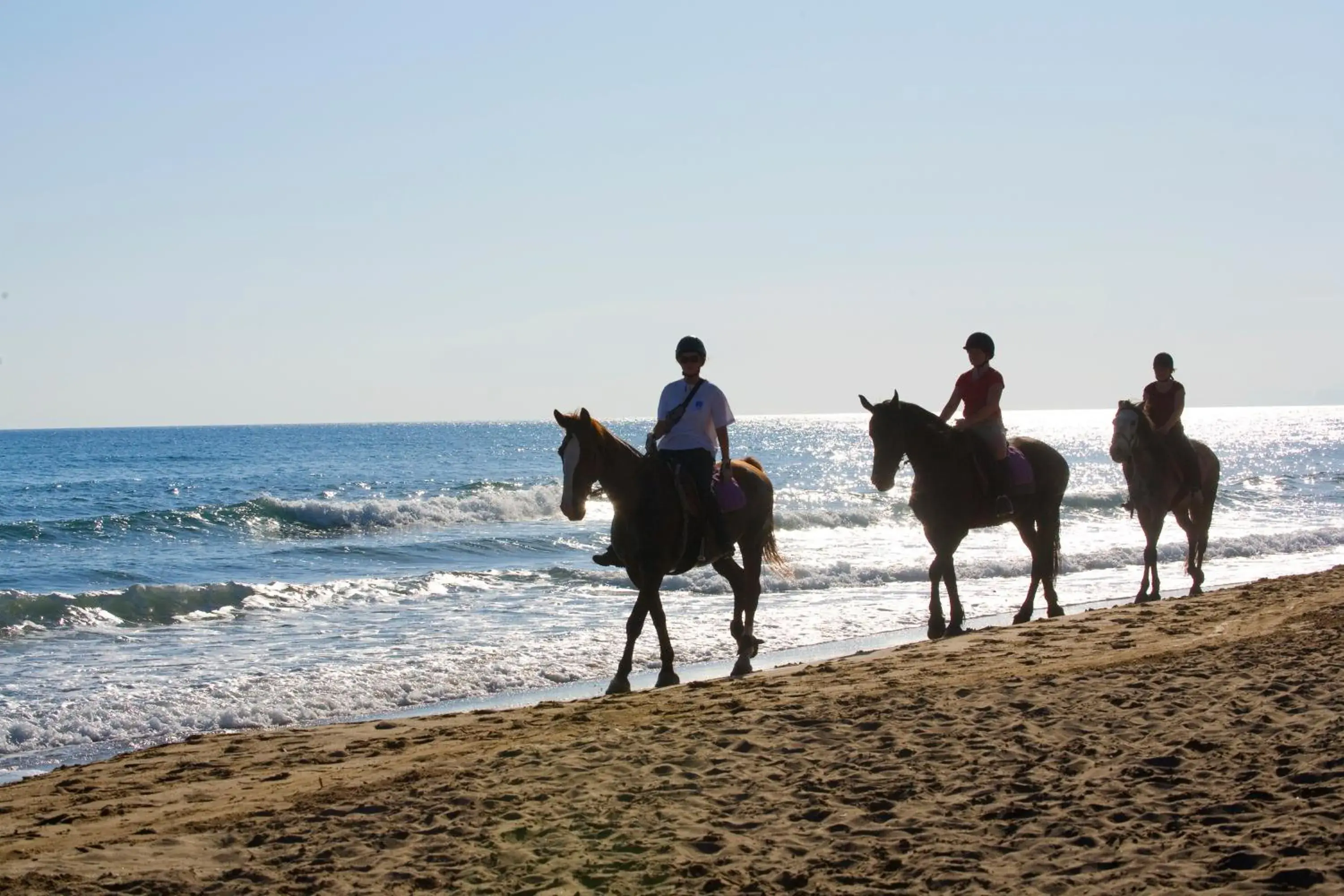 Horse-riding, Horseback Riding in Pilot Beach Resort