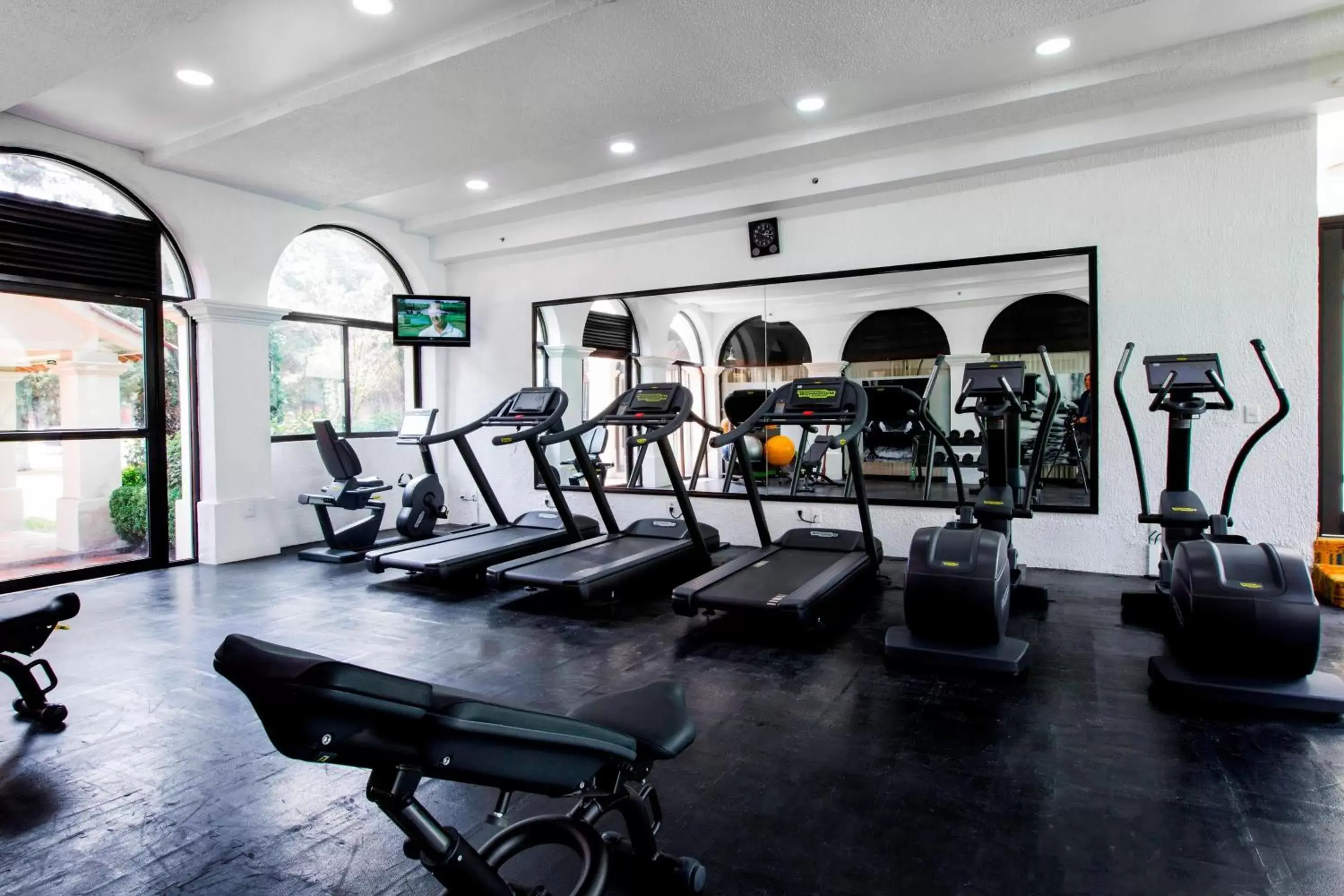 Fitness centre/facilities, Fitness Center/Facilities in Courtyard Toluca Airport