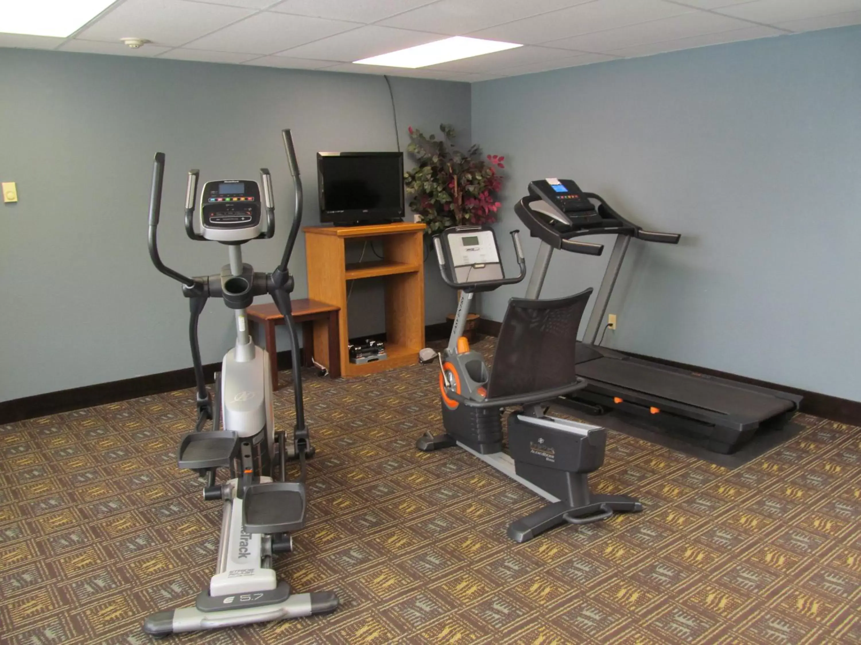 Fitness centre/facilities, Fitness Center/Facilities in Fireside Inn and Suites