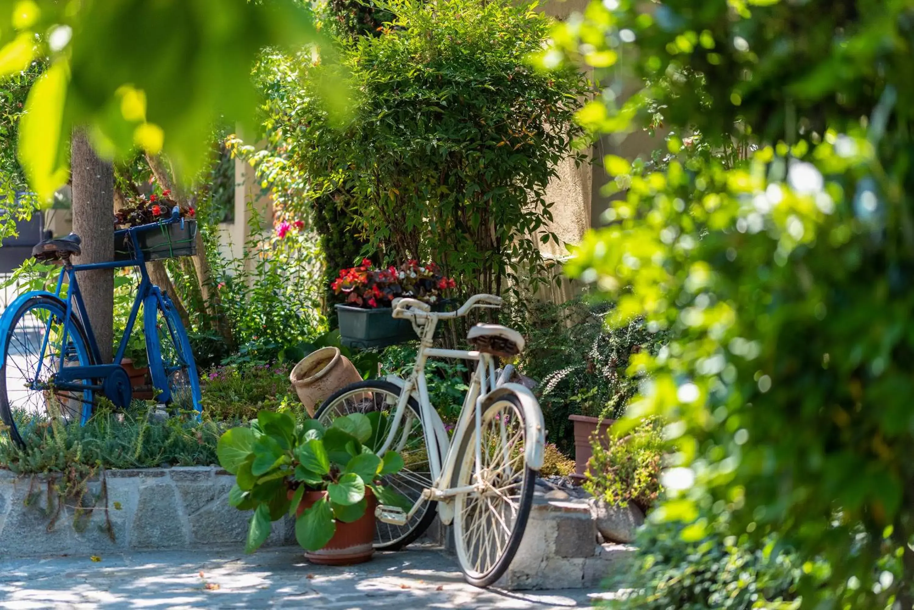 Garden in Villa Mery