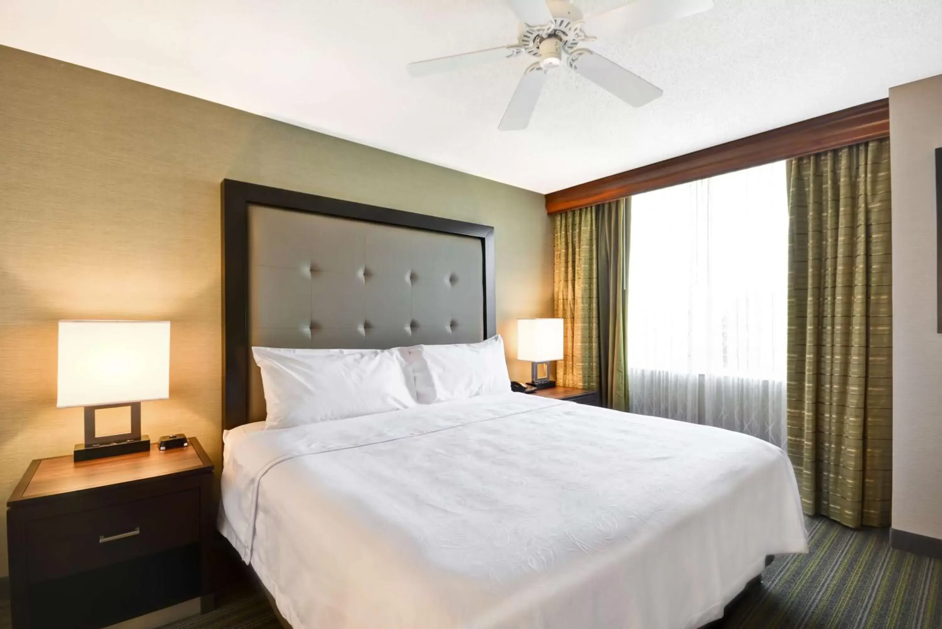 Premium One-Bedroom King Suite - Non-Smoking in Homewood Suites Dulles-International Airport