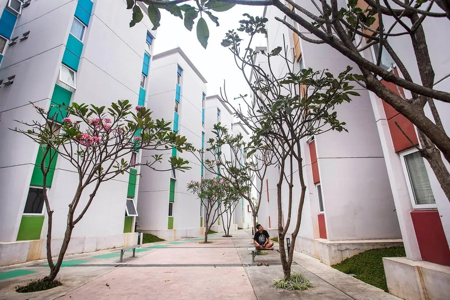 Garden view in De Green Inn at Aeropolis Garden view in De Green Inn at Aeropolis