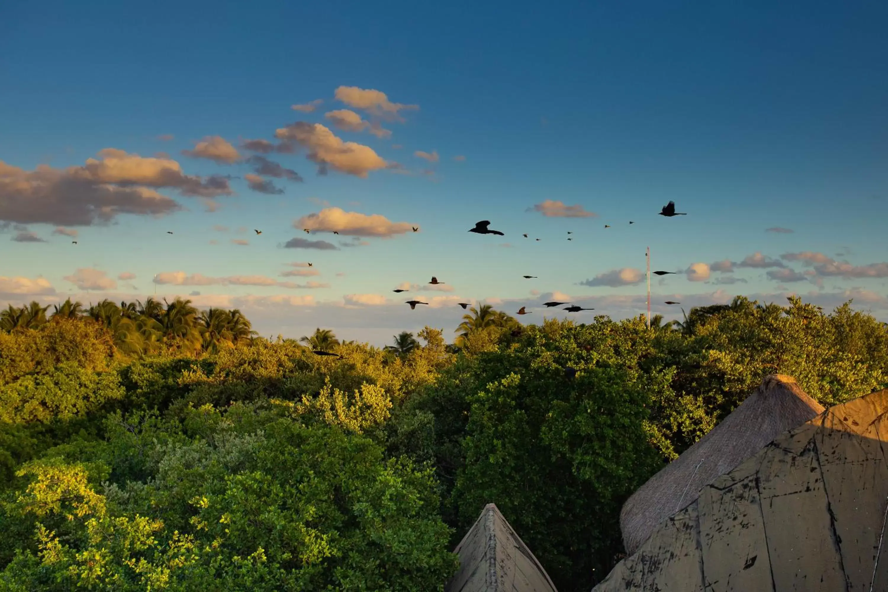 Natural landscape in Mamasan Treehouses & Cabins