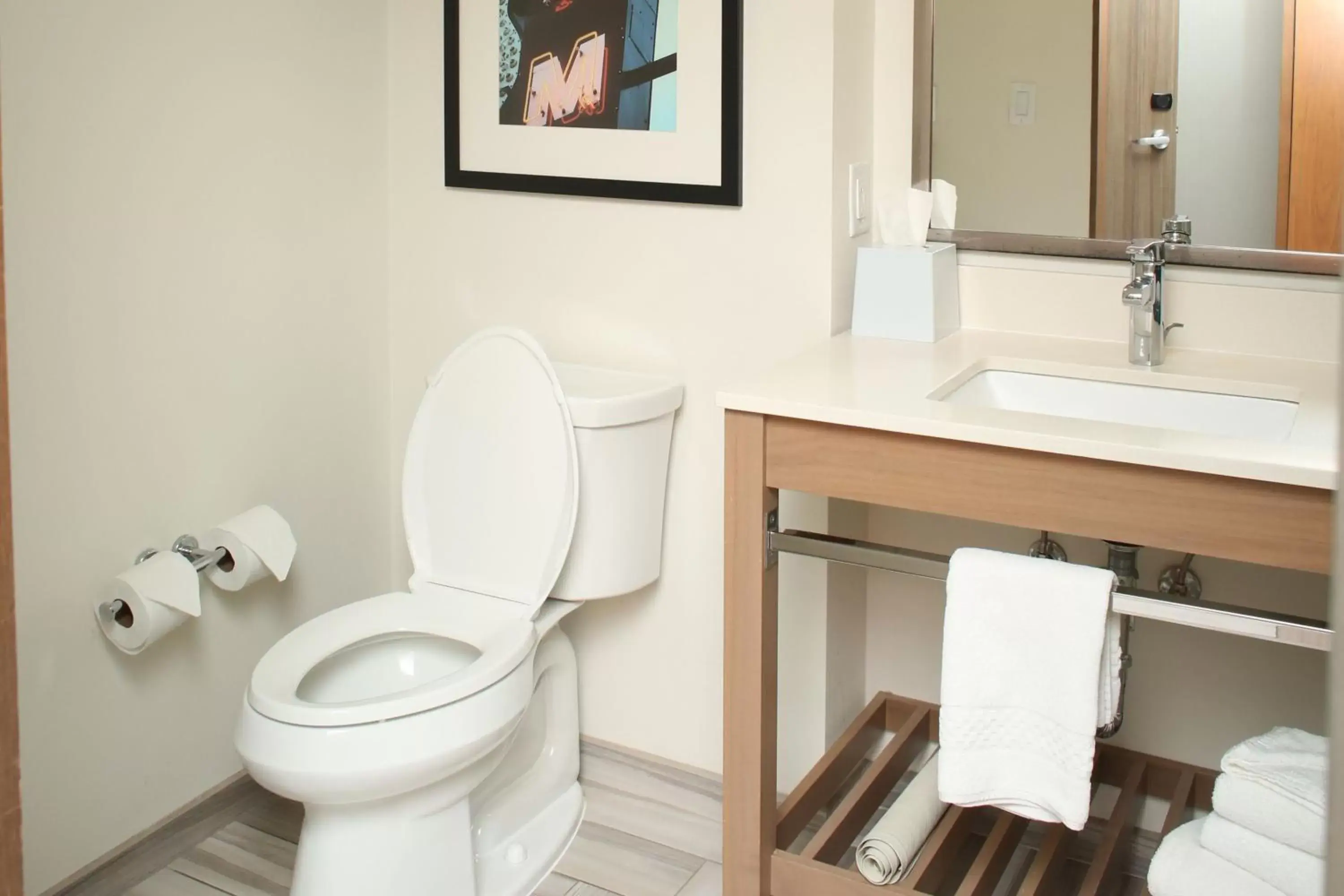 Photo of the whole room, Bathroom in Four Points by Sheraton Midland