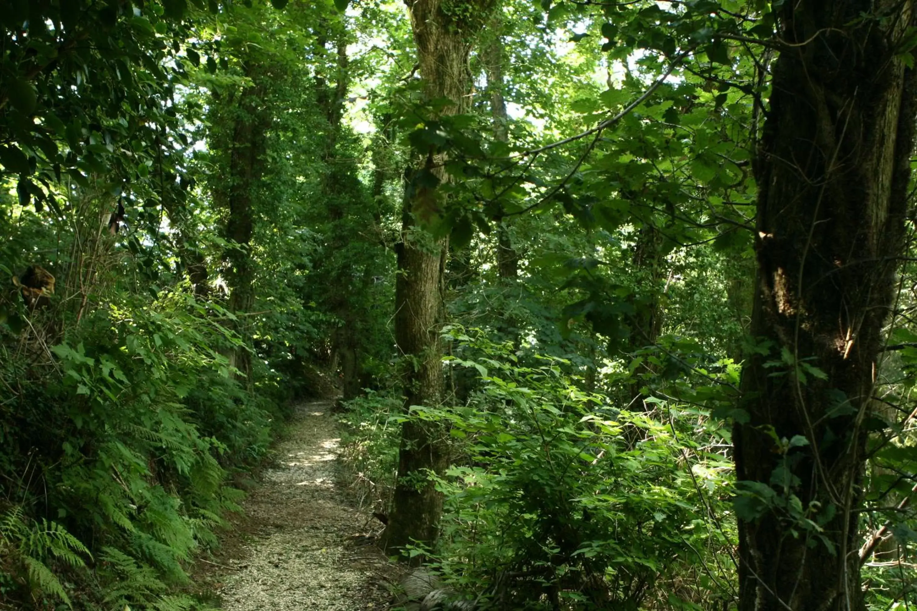 Natural landscape in Wyndham Trenython Manor