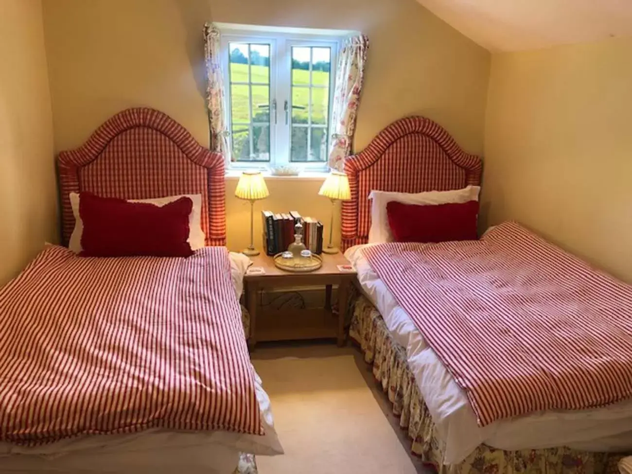 Twin Room in Hollamoor Farm
