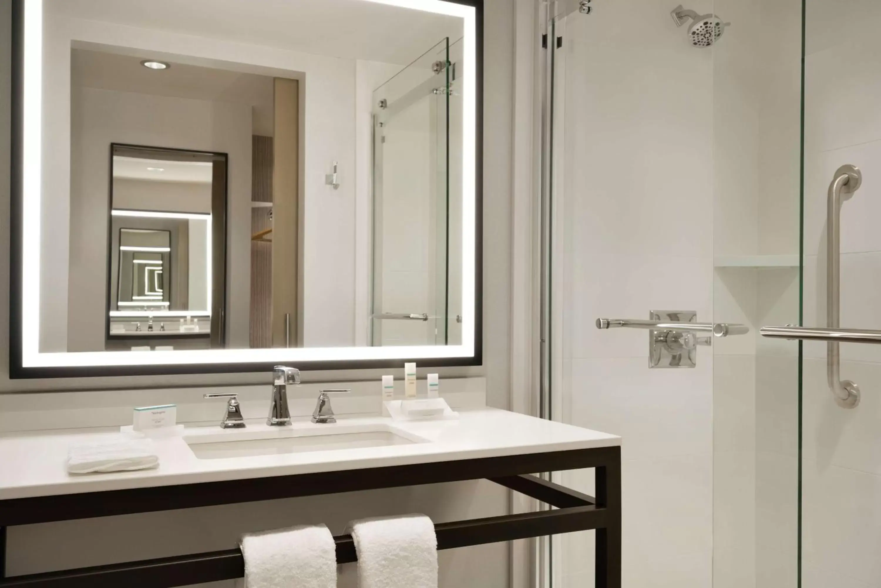 Bathroom in Hilton Garden Inn Newtown Square Radnor