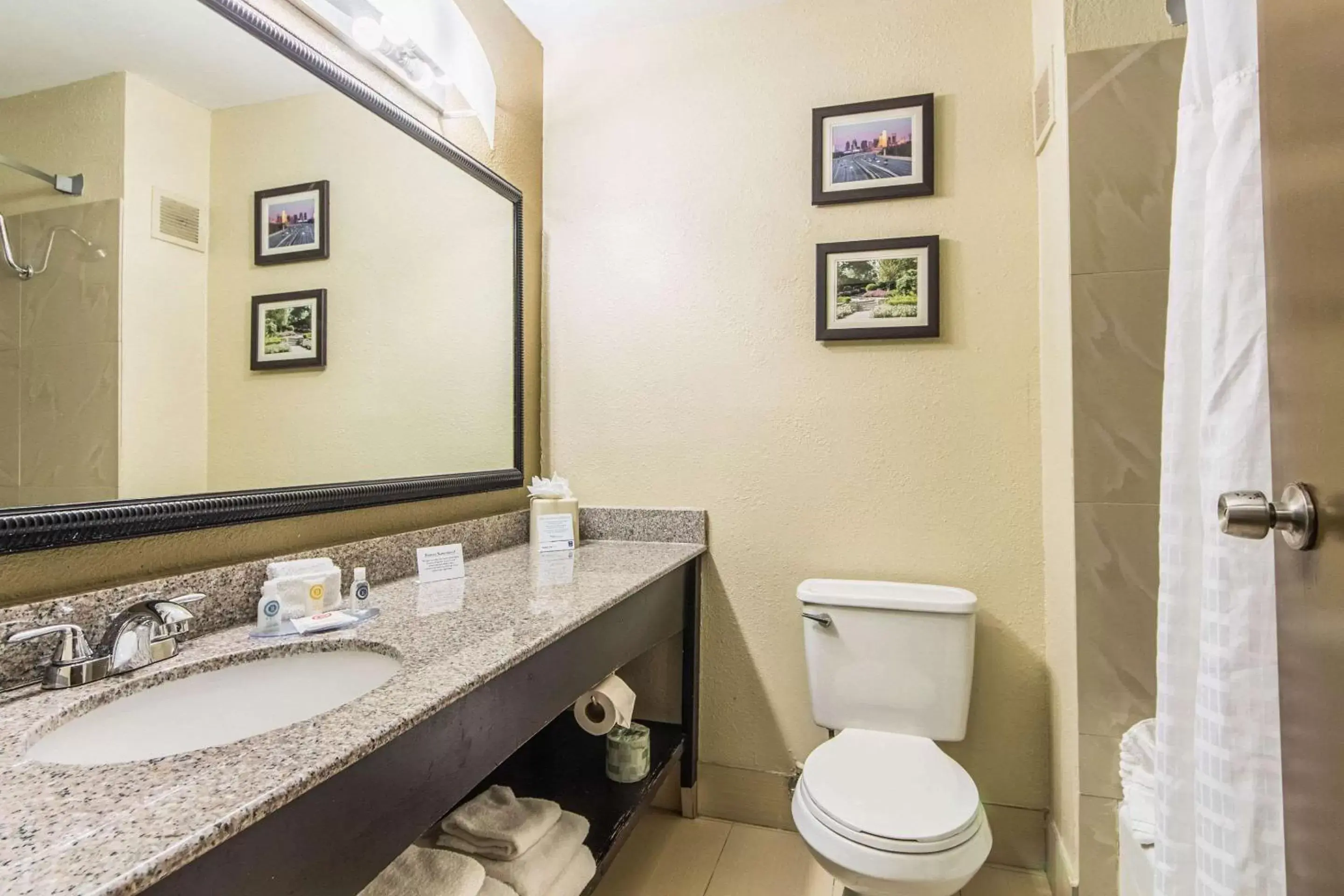 Bathroom in Comfort Inn Dallas Park Central