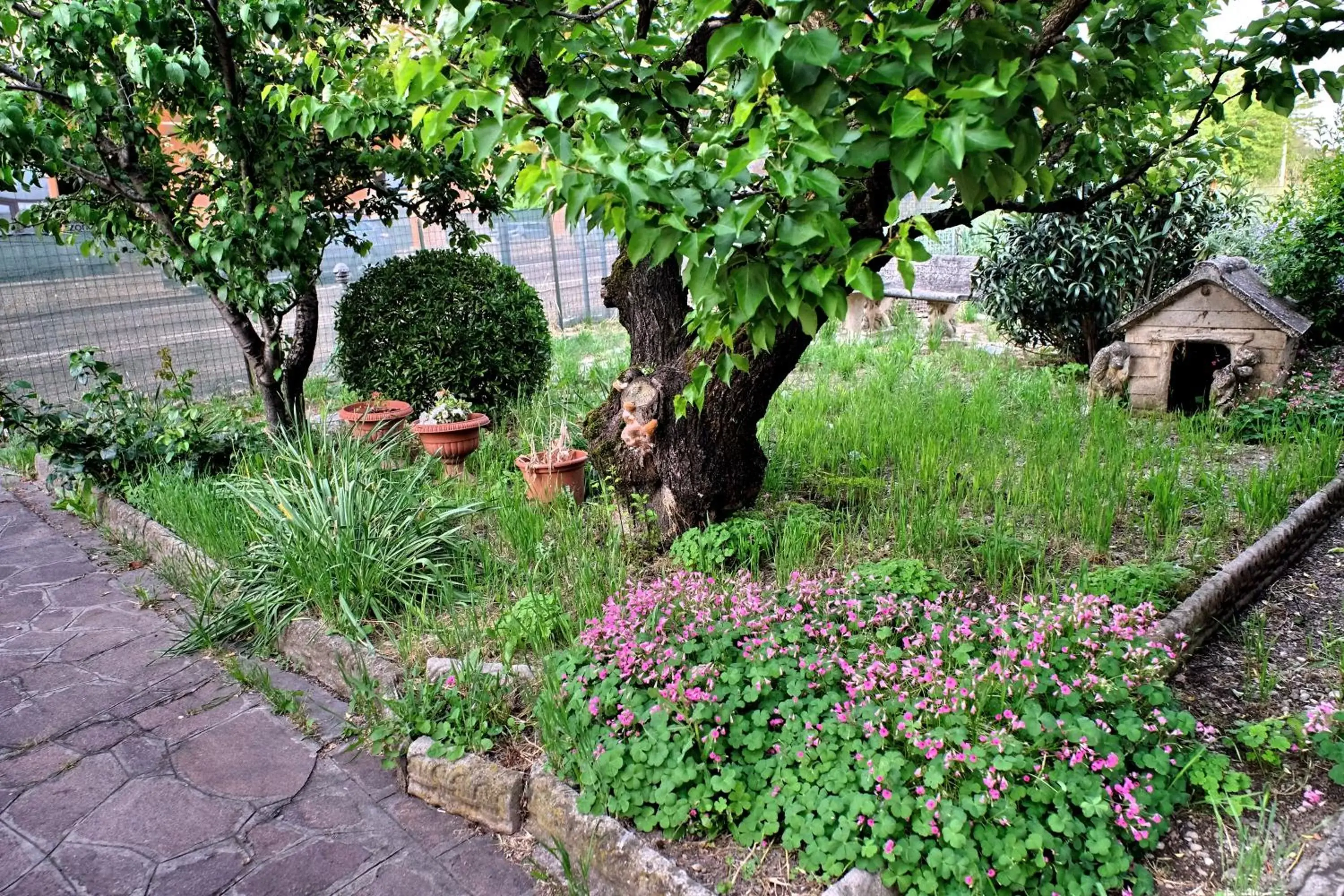 Garden in B&B "Il Cantastorie" - Casa Molinari-Boldrini