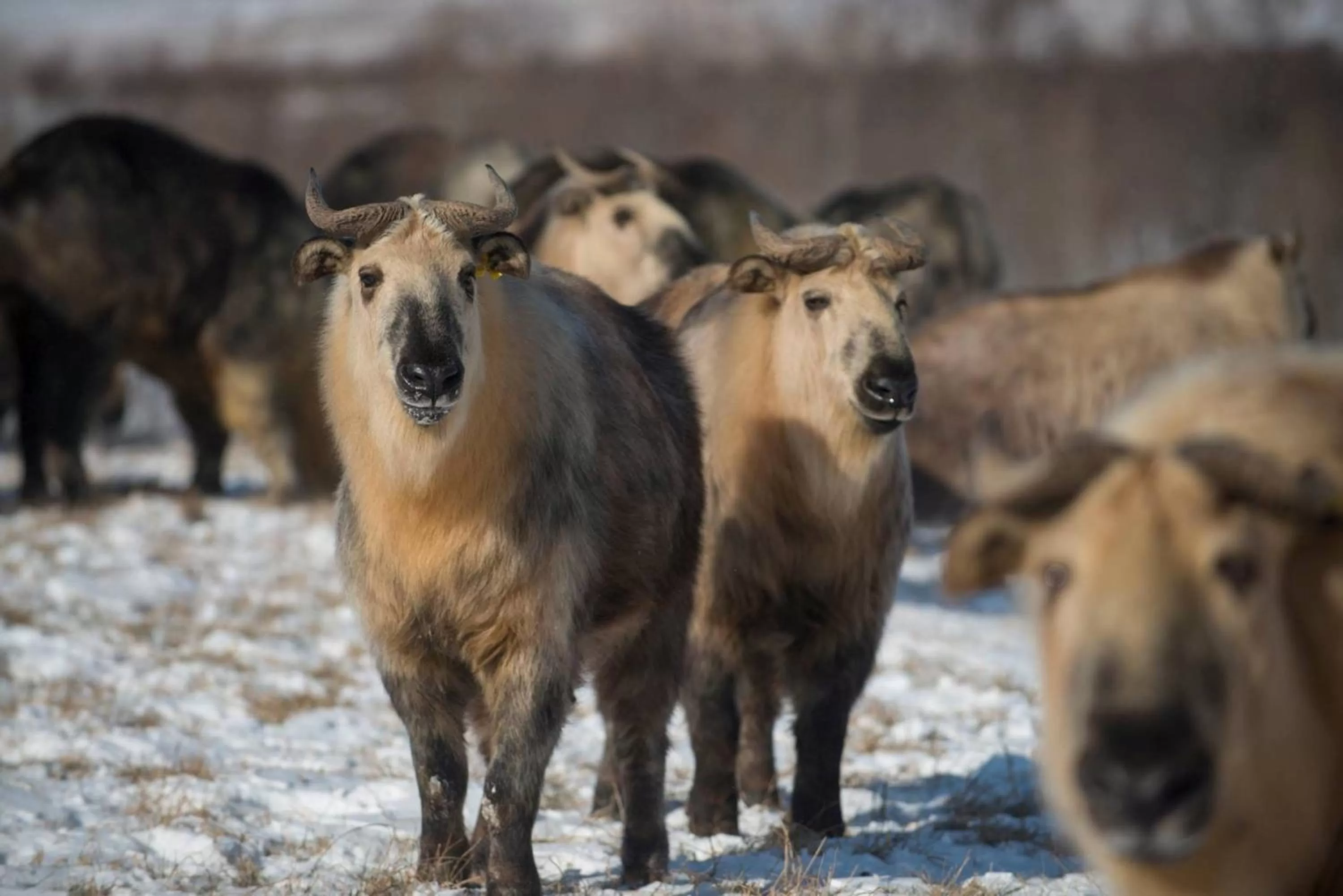 Nearby landmark in Holiday Inn Express & Suites Zanesville North by IHG