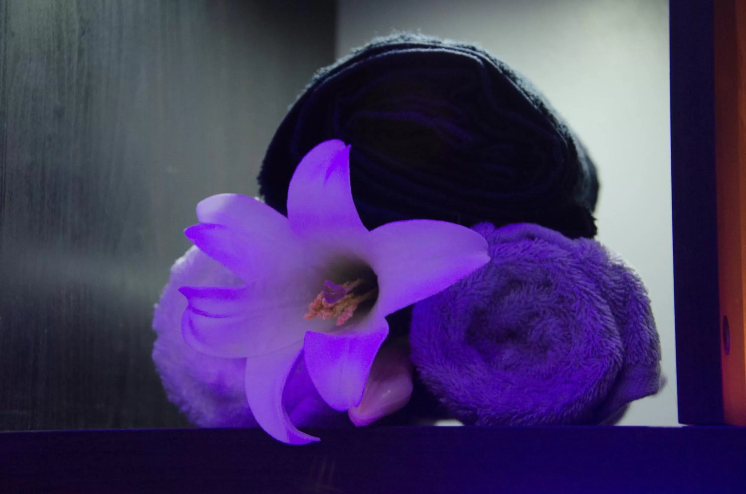 Spa and wellness centre/facilities in Holiday Inn Newcastle Gosforth Park by IHG