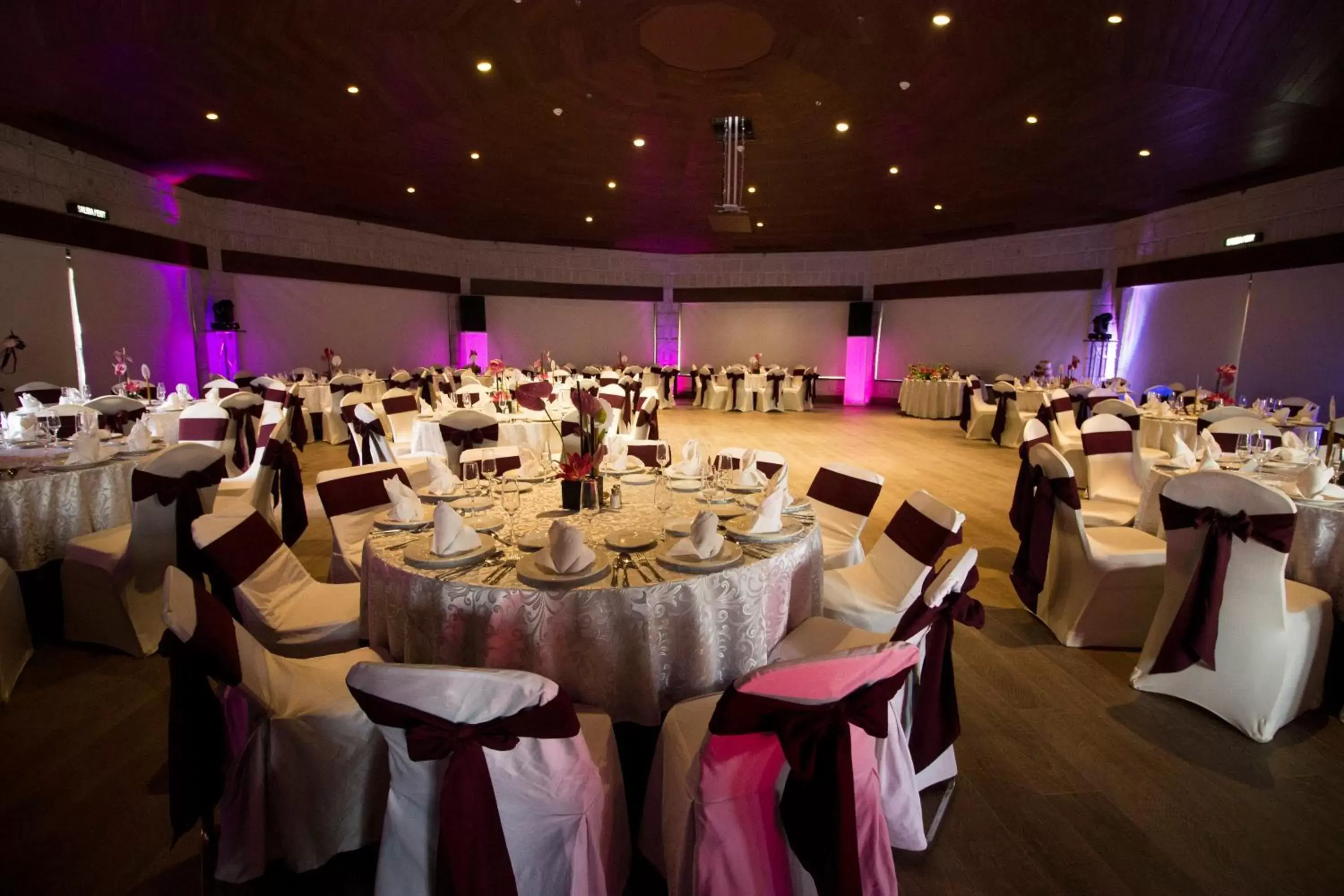 Banquet/Function facilities, Banquet Facilities in Holiday Inn Queretaro Centro Historico, an IHG Hotel