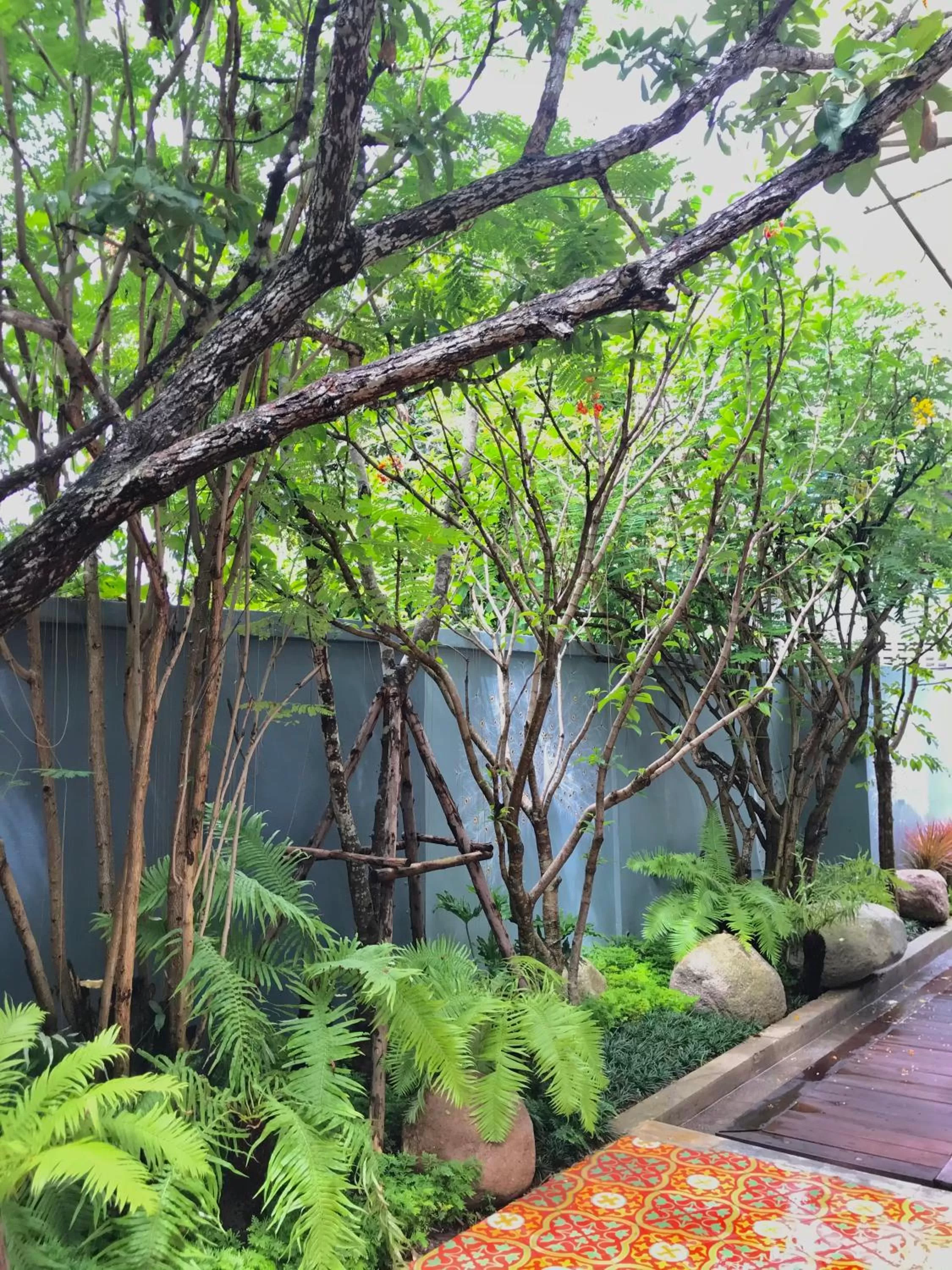 Natural landscape in At Pingnakorn Nimman Hotel