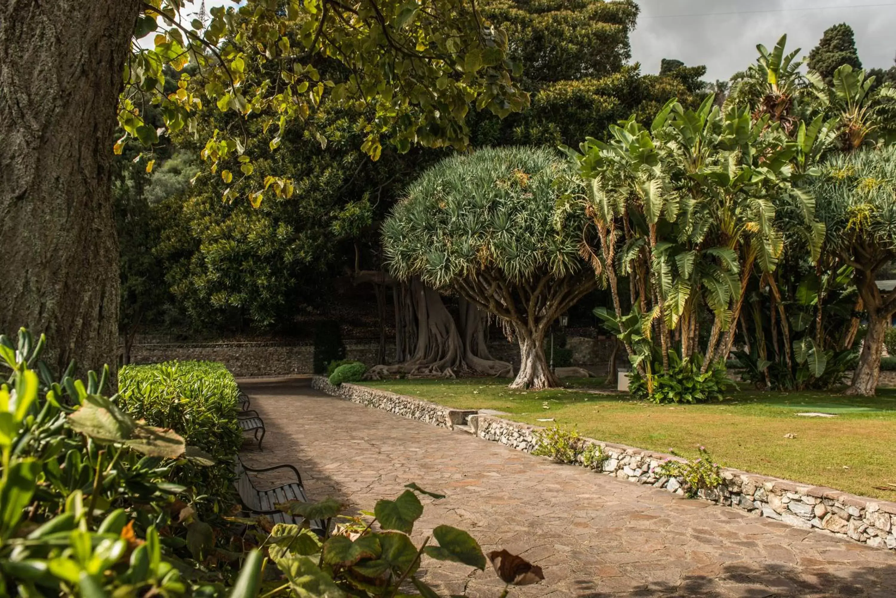 Garden in Villa Pulejo