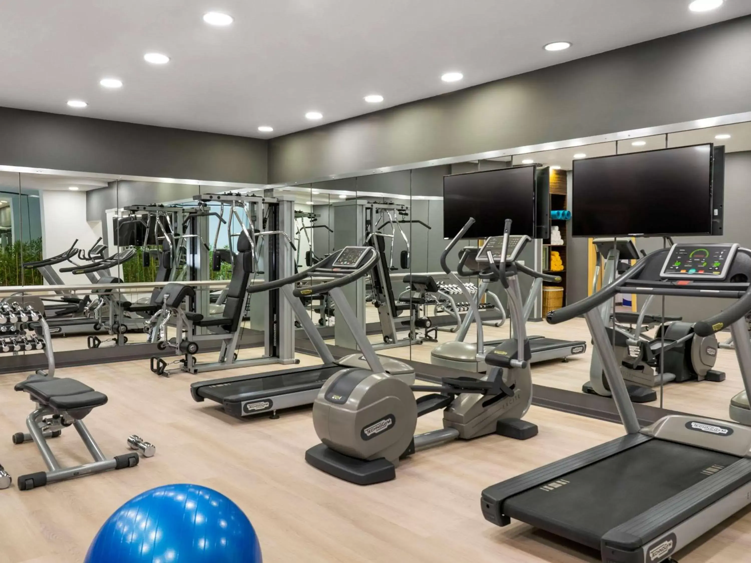 Spa and wellness centre/facilities, Fitness Center/Facilities in Novotel Kayseri