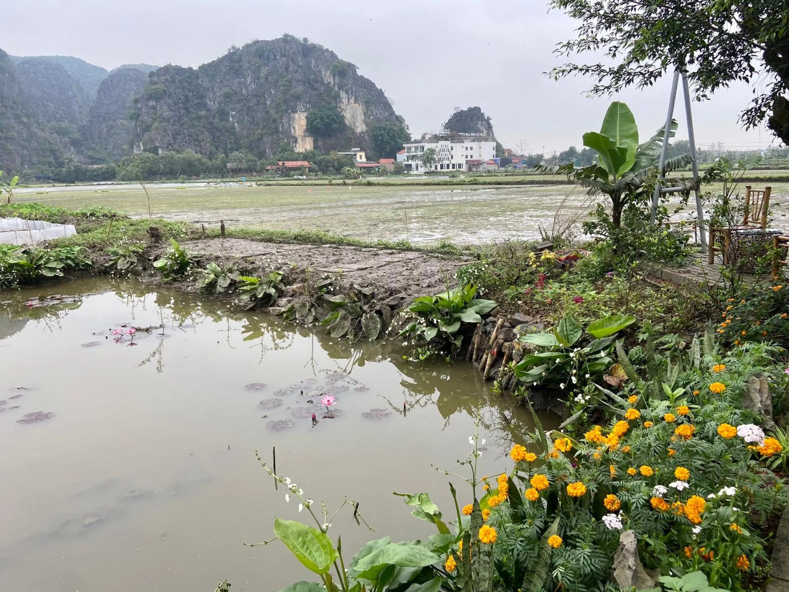 Tam Coc Mountain View Homestay
