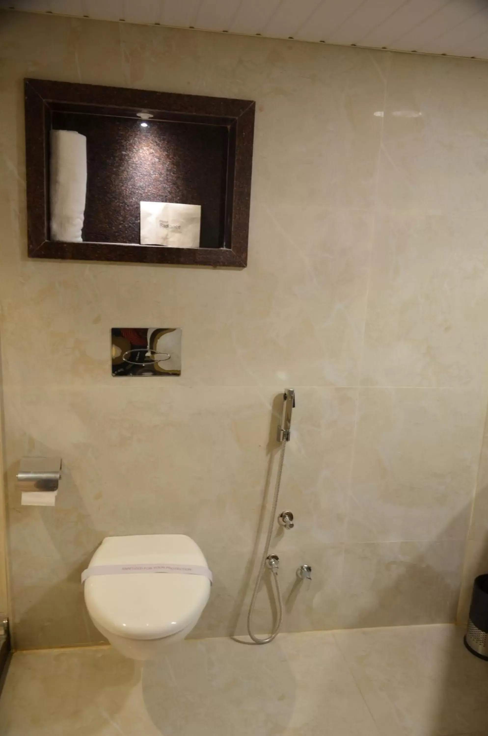 Toilet, Bathroom in Hotel Radiance