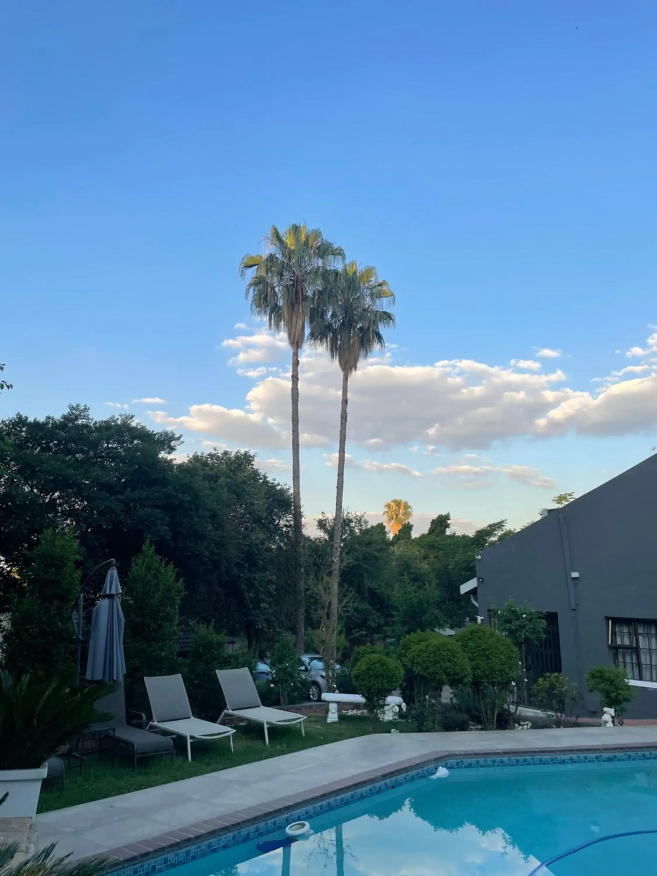 Garden view, Swimming Pool in Marion Lodge