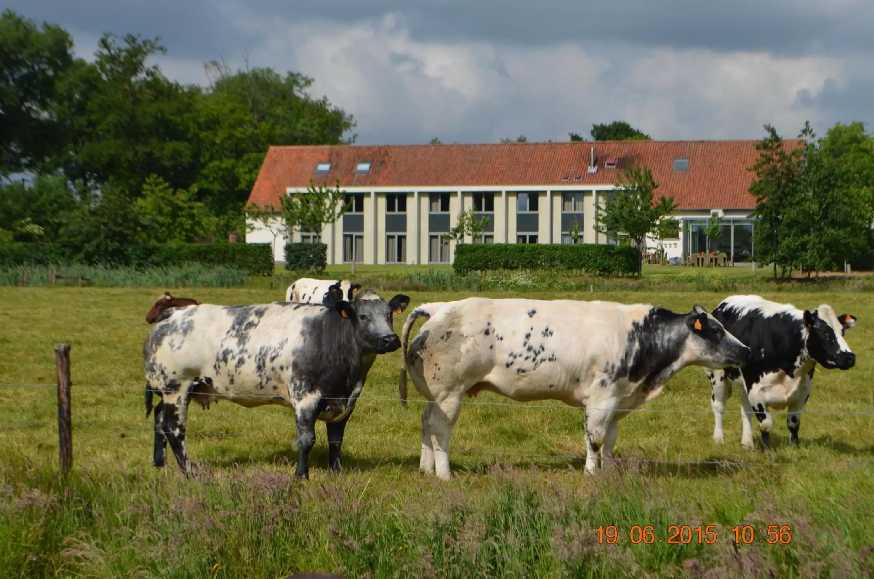 Day in Cleythil Hotel