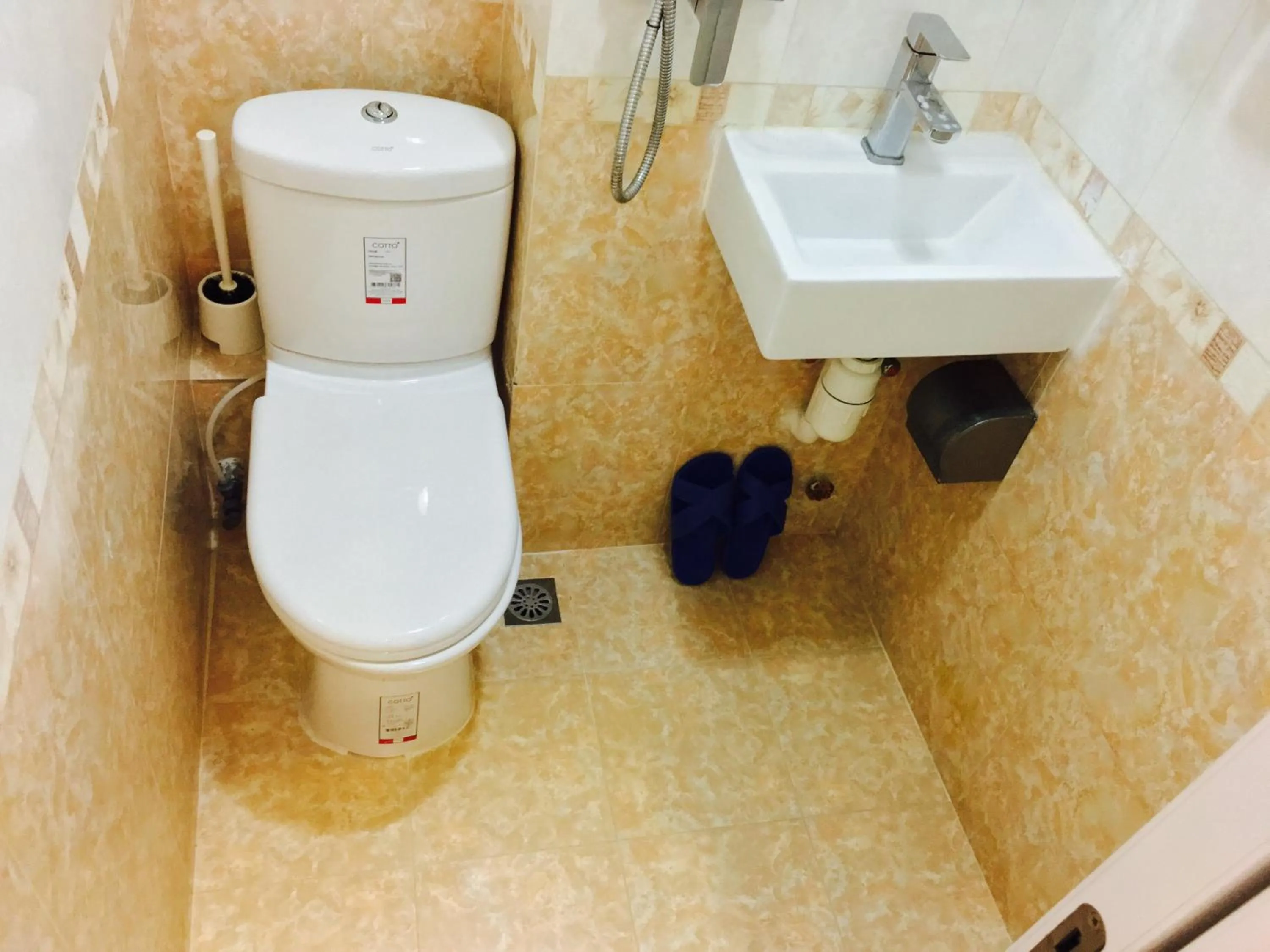 Toilet in Modern