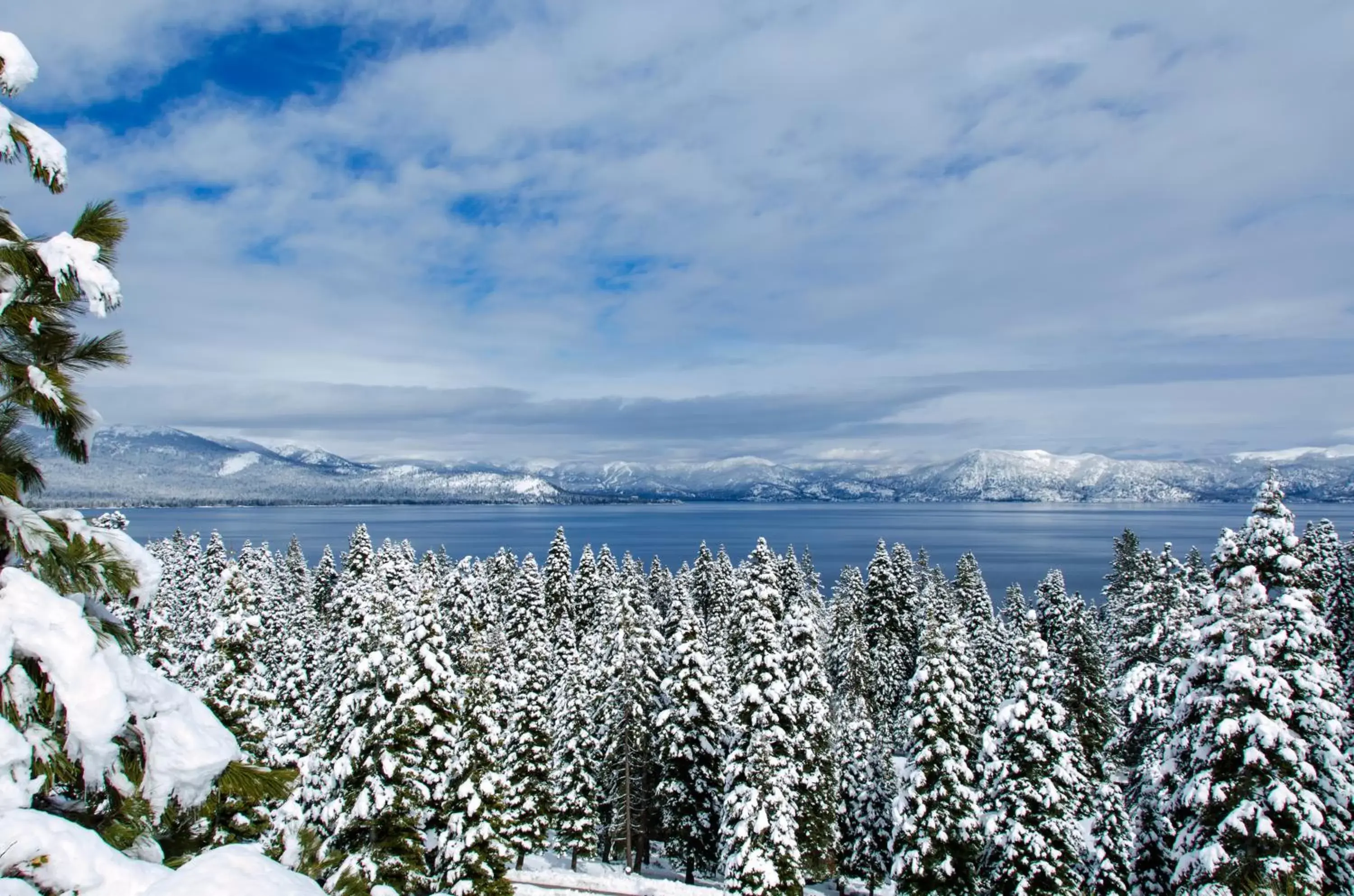 Natural landscape, Winter in Hotel Azure