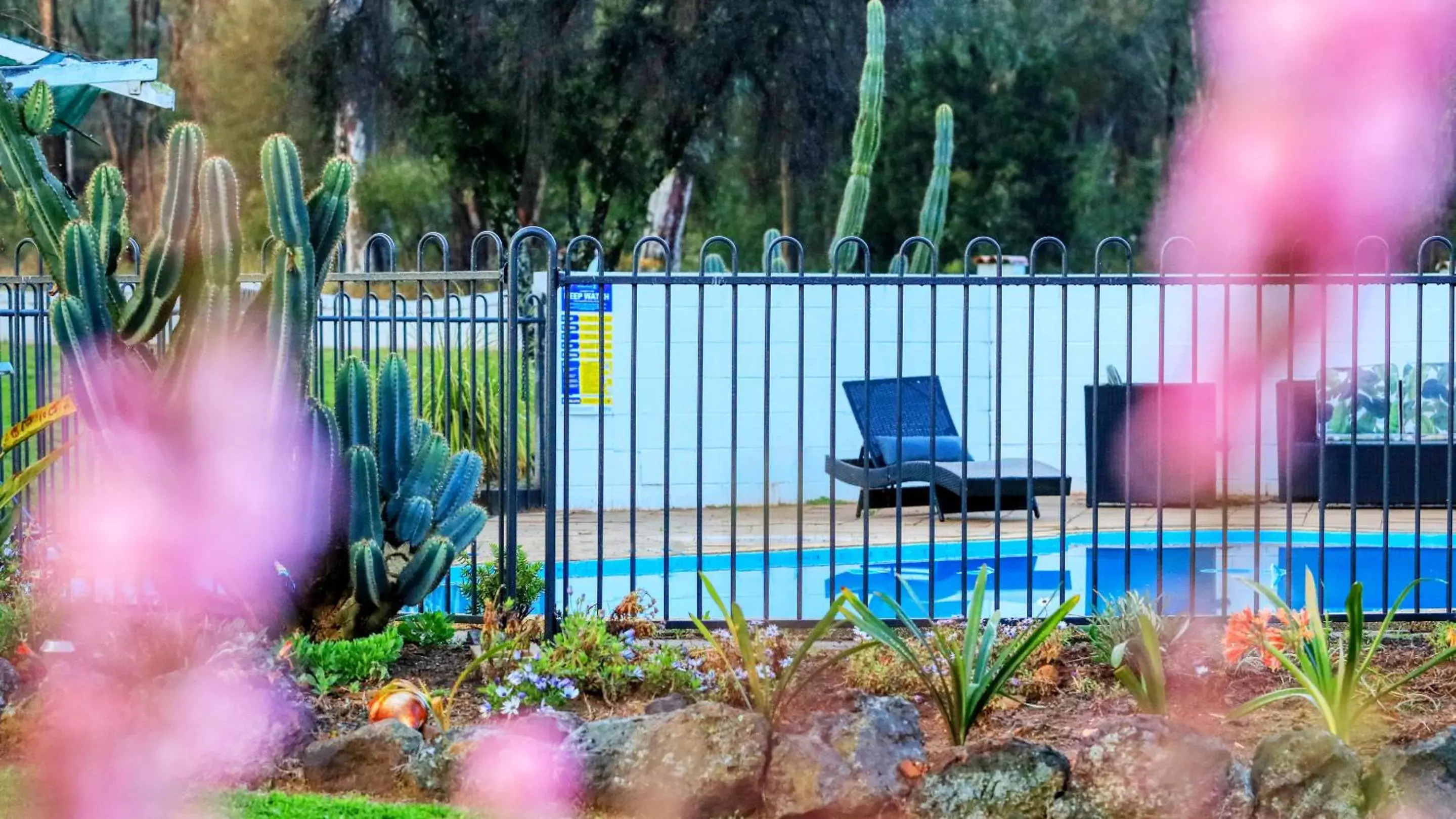 Swimming pool in Azalea Motel