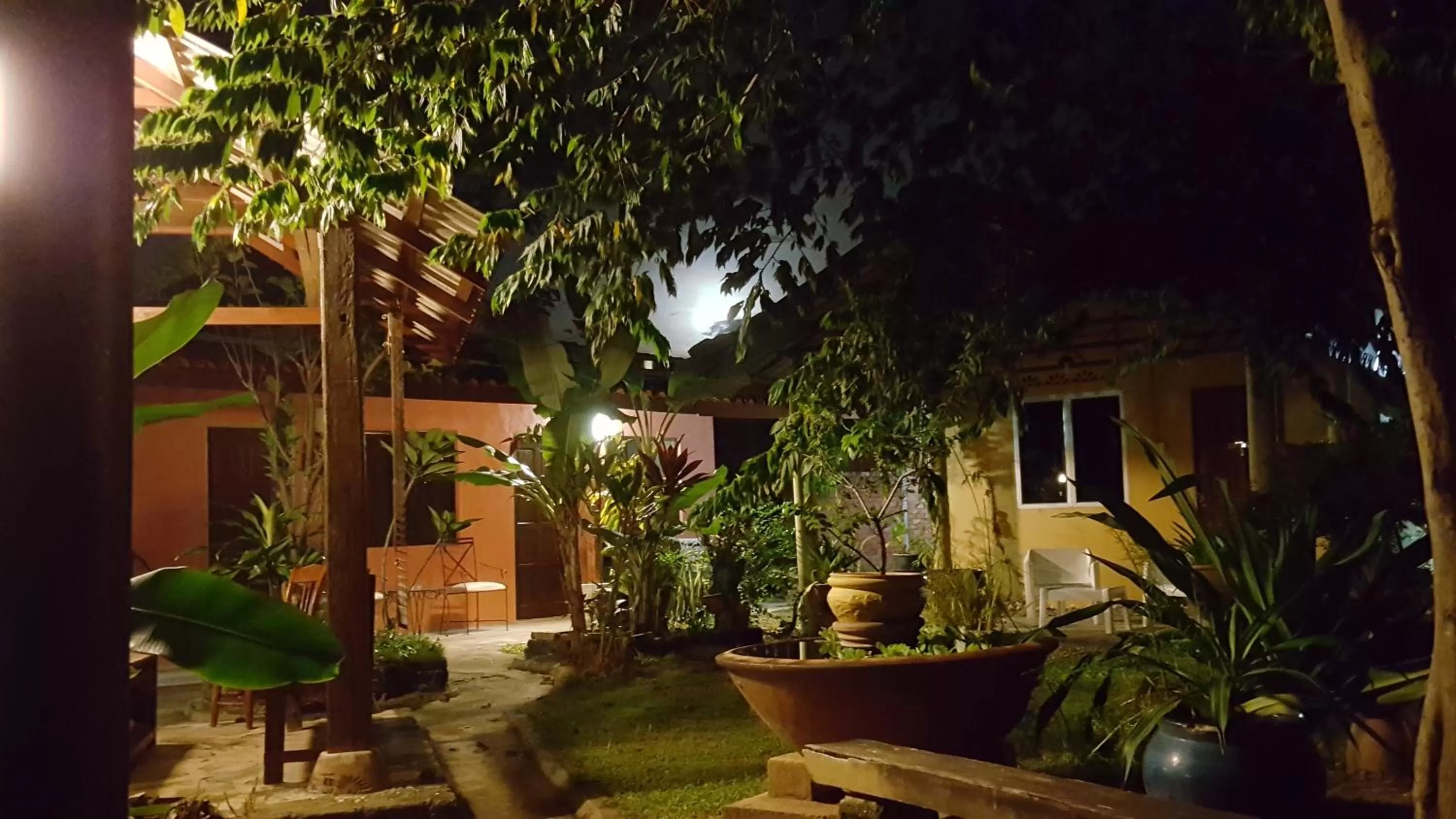 the coconut langkawi