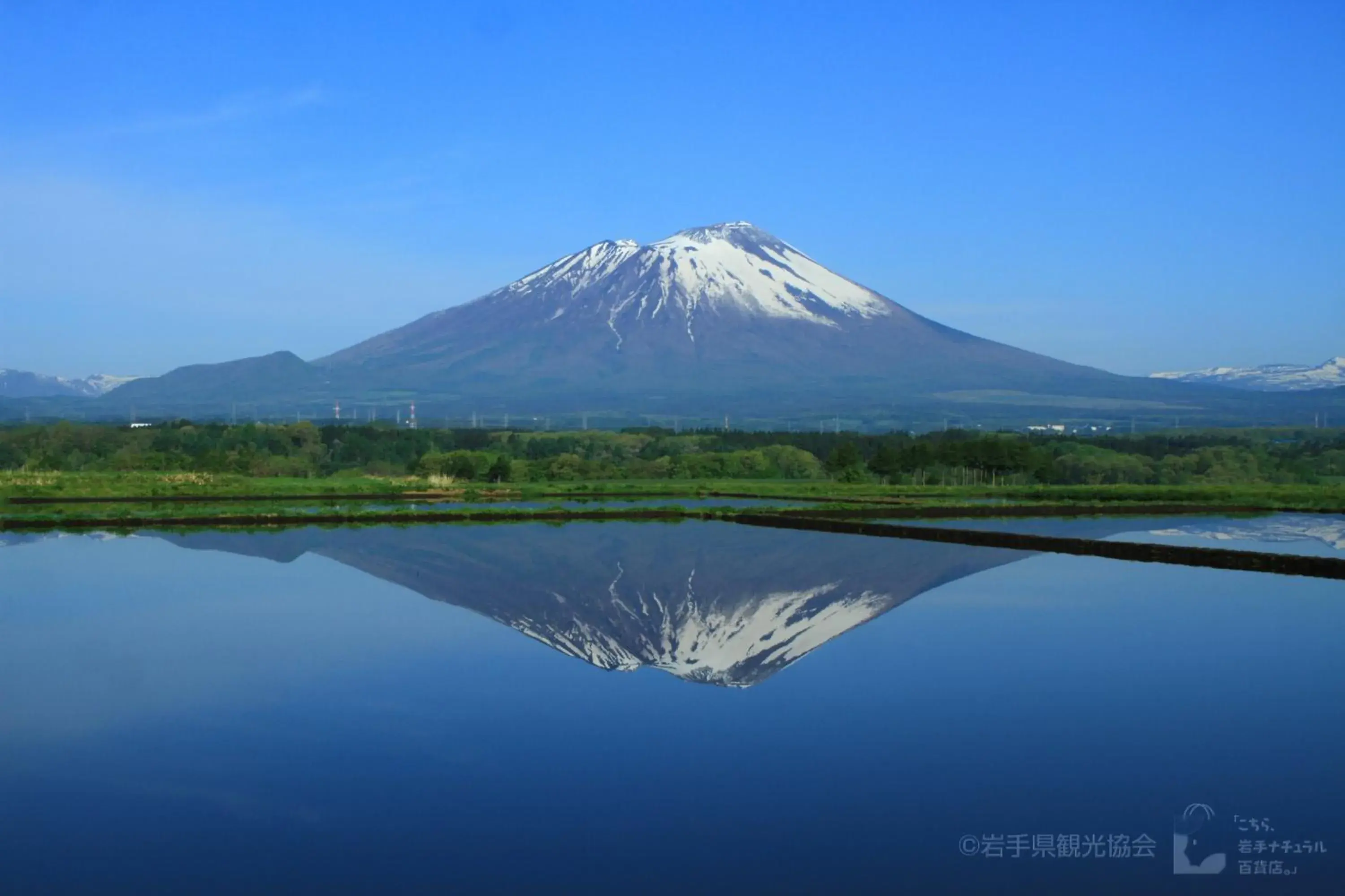 Nearby landmark in Hotel Higashinihon Morioka