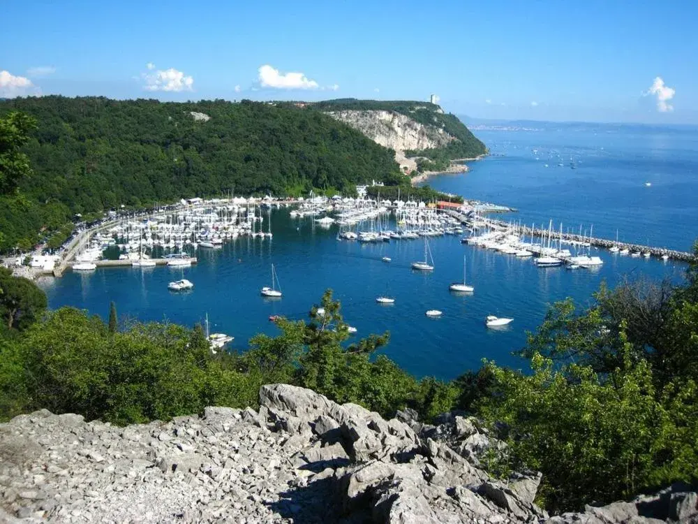 Day, Bird's-eye View in Hotel Ai Sette Nani