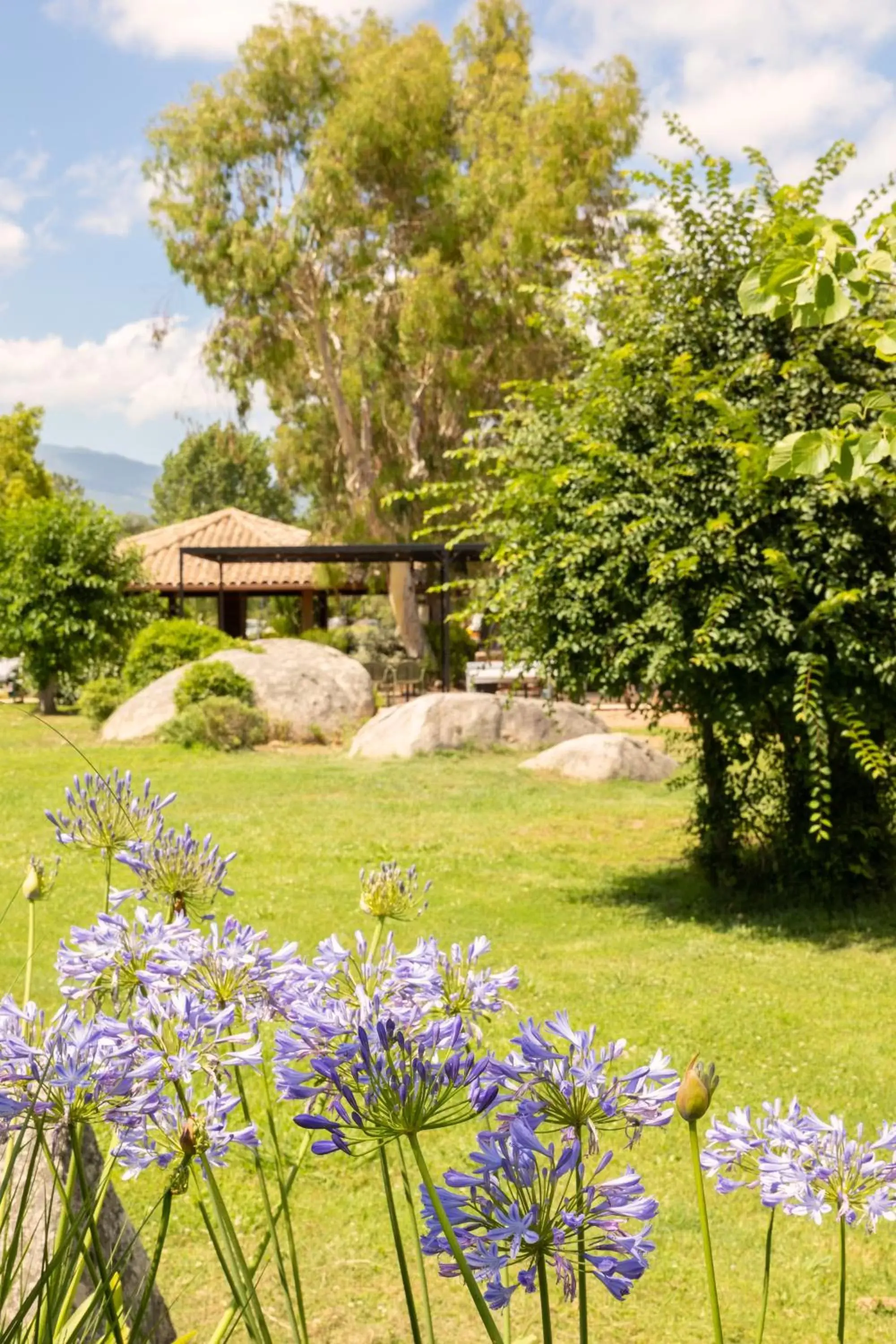 Garden in San Giovanni