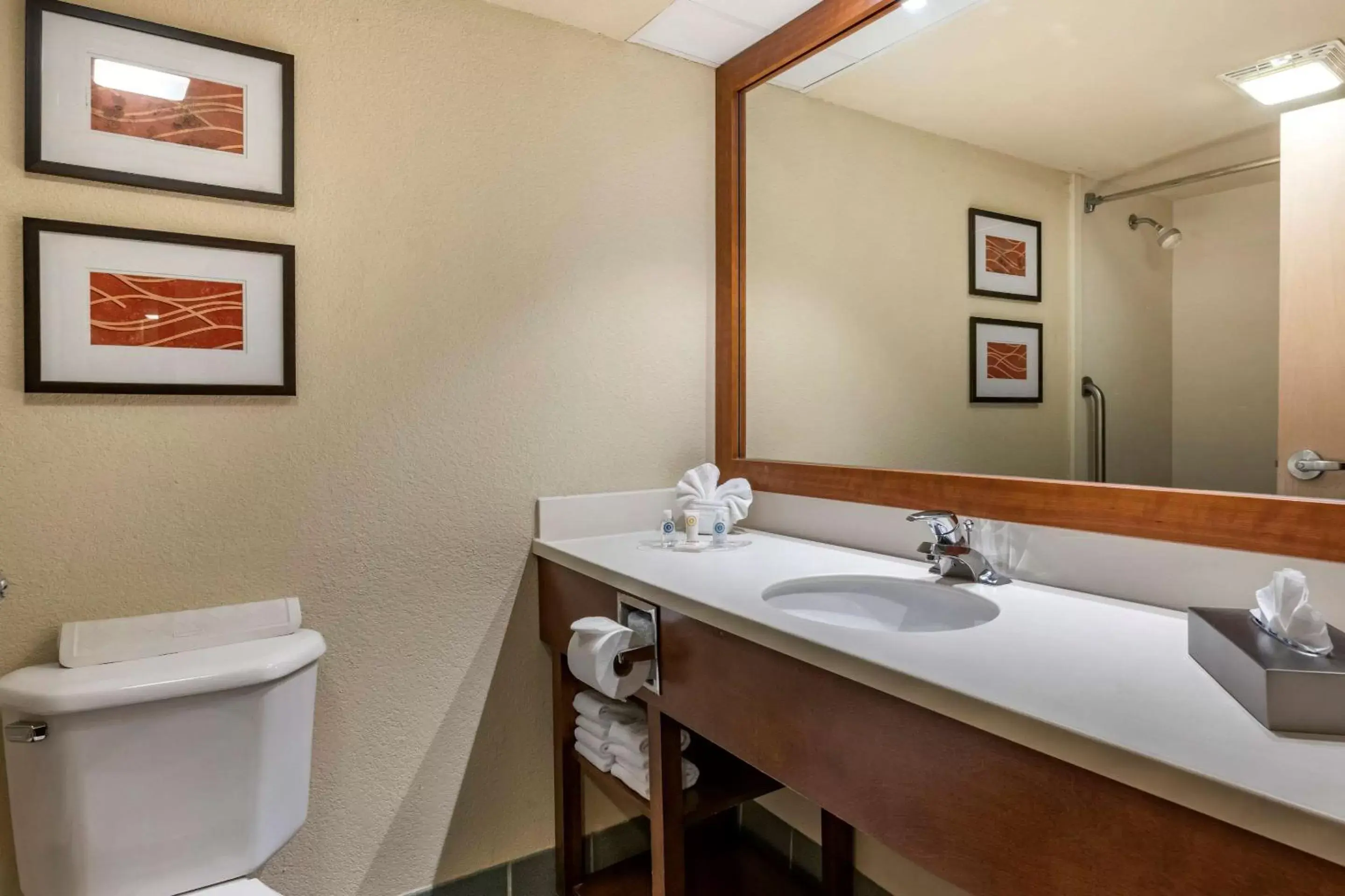 Bathroom in Comfort Suites Miami