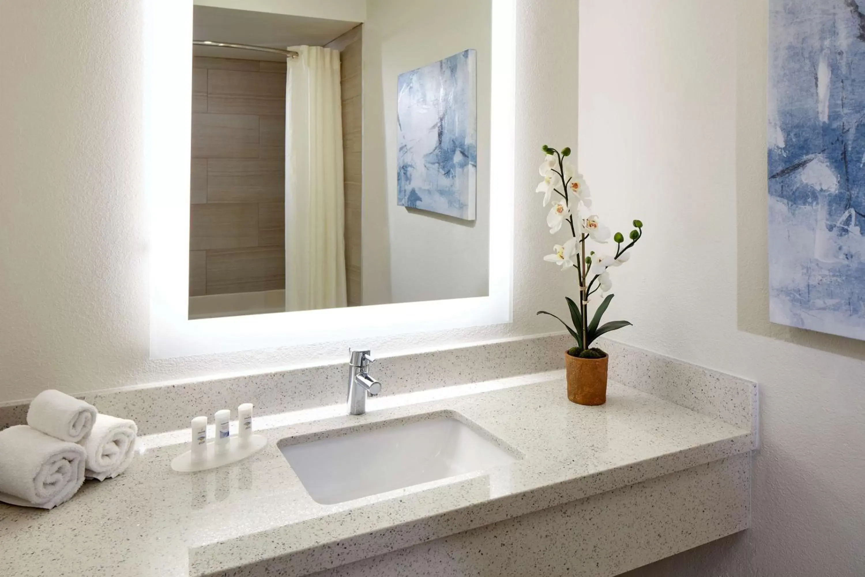 Bathroom in Best Western Posada Royale Hotel & Suites