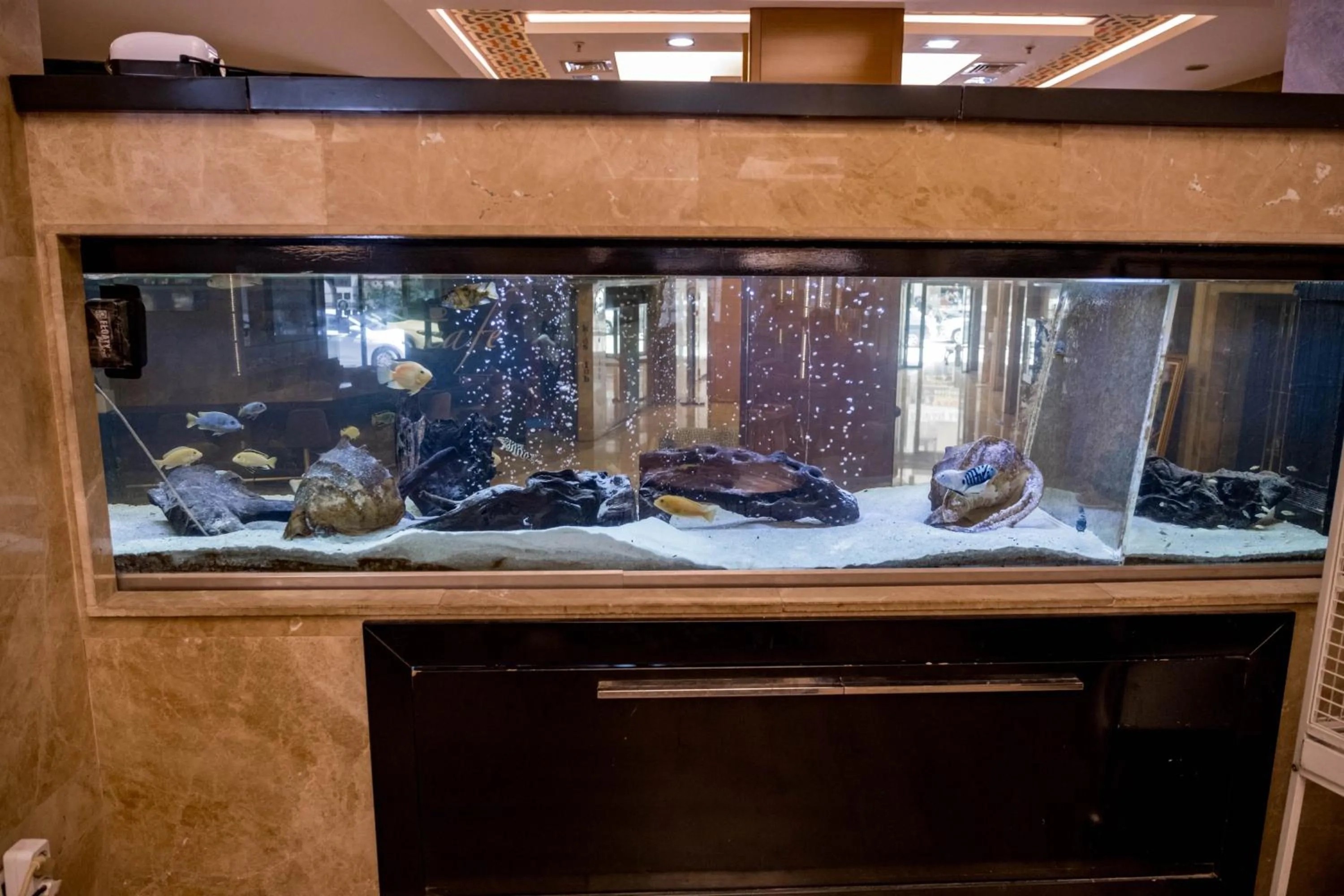 Lobby or reception in Selçuk Hotel