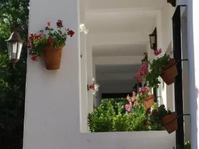 Patio in Hotel Apartamento Rural Finca La Media Legua