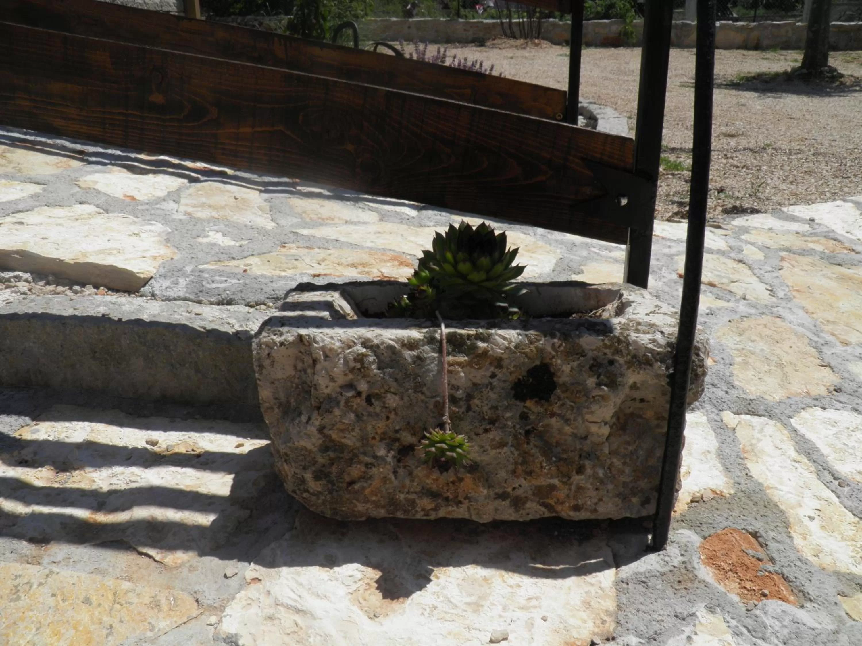 Decorative detail in Agroturizam Duvančić - Konoba dida Marka