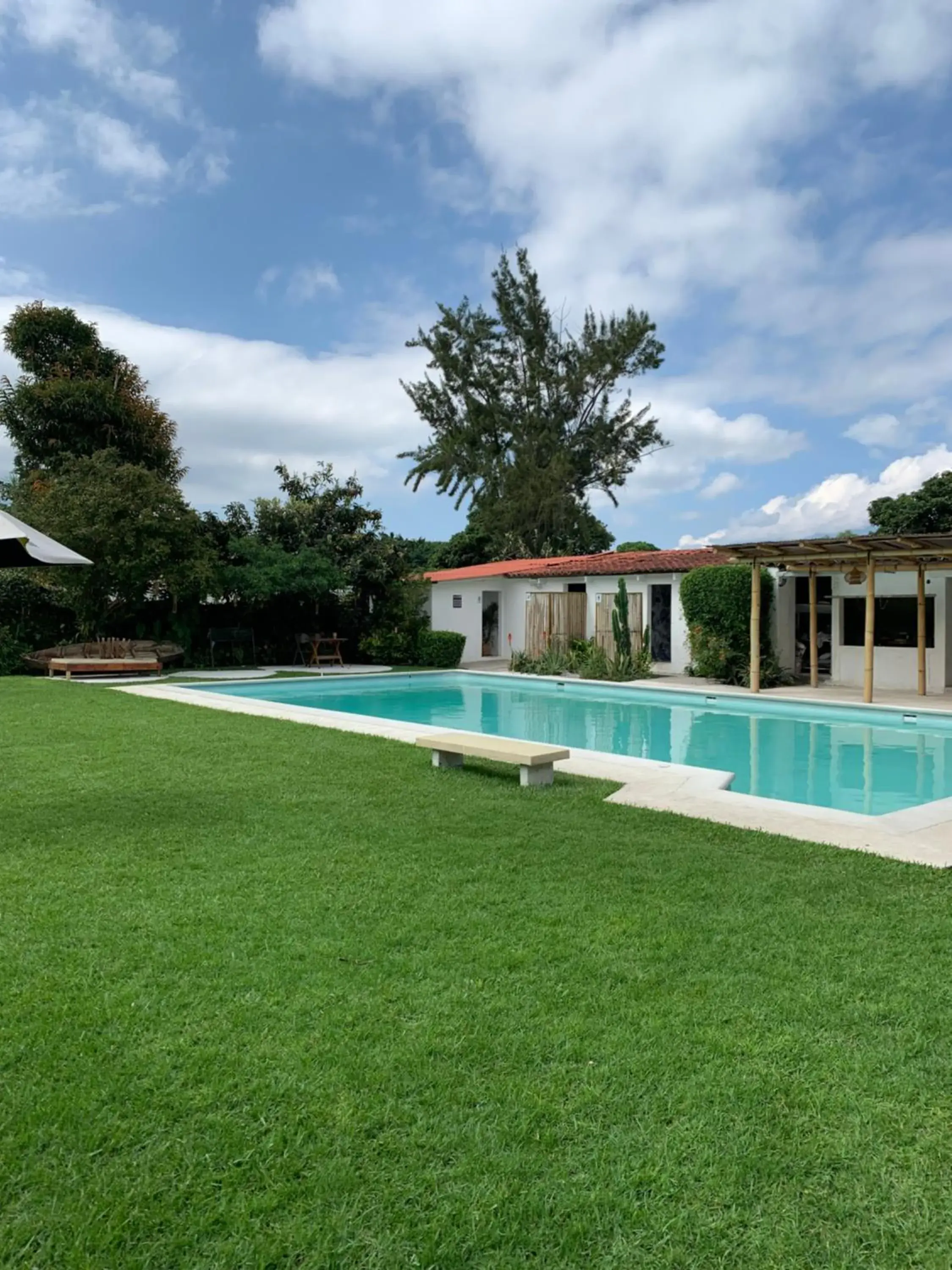 Garden view, Swimming Pool in Yes Please! Hostel