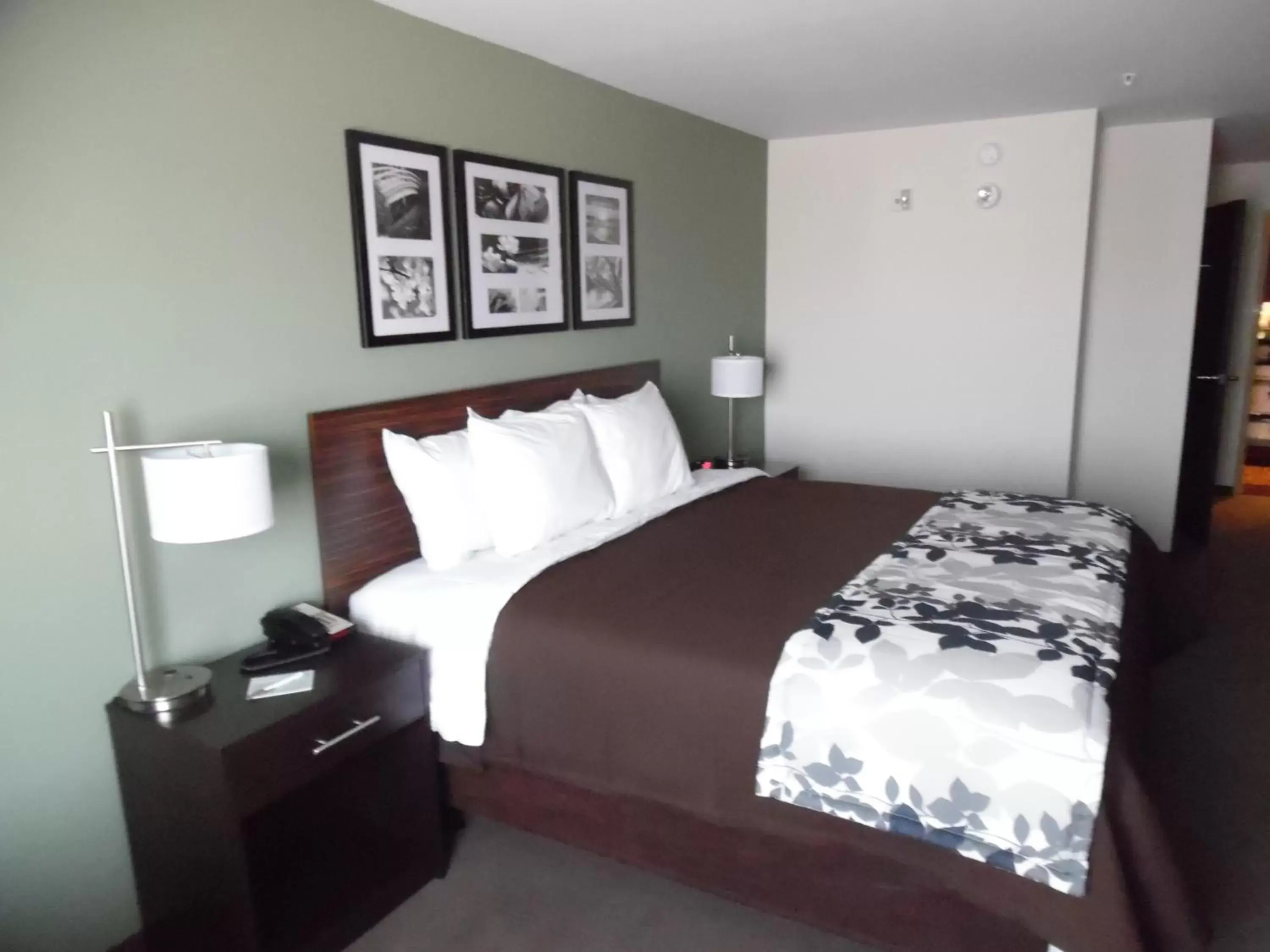 Bedroom, Bed in Sleep Inn & Suites Syracuse Airport Bedroom, Bed in Sleep Inn & Suites Syracuse Airport
