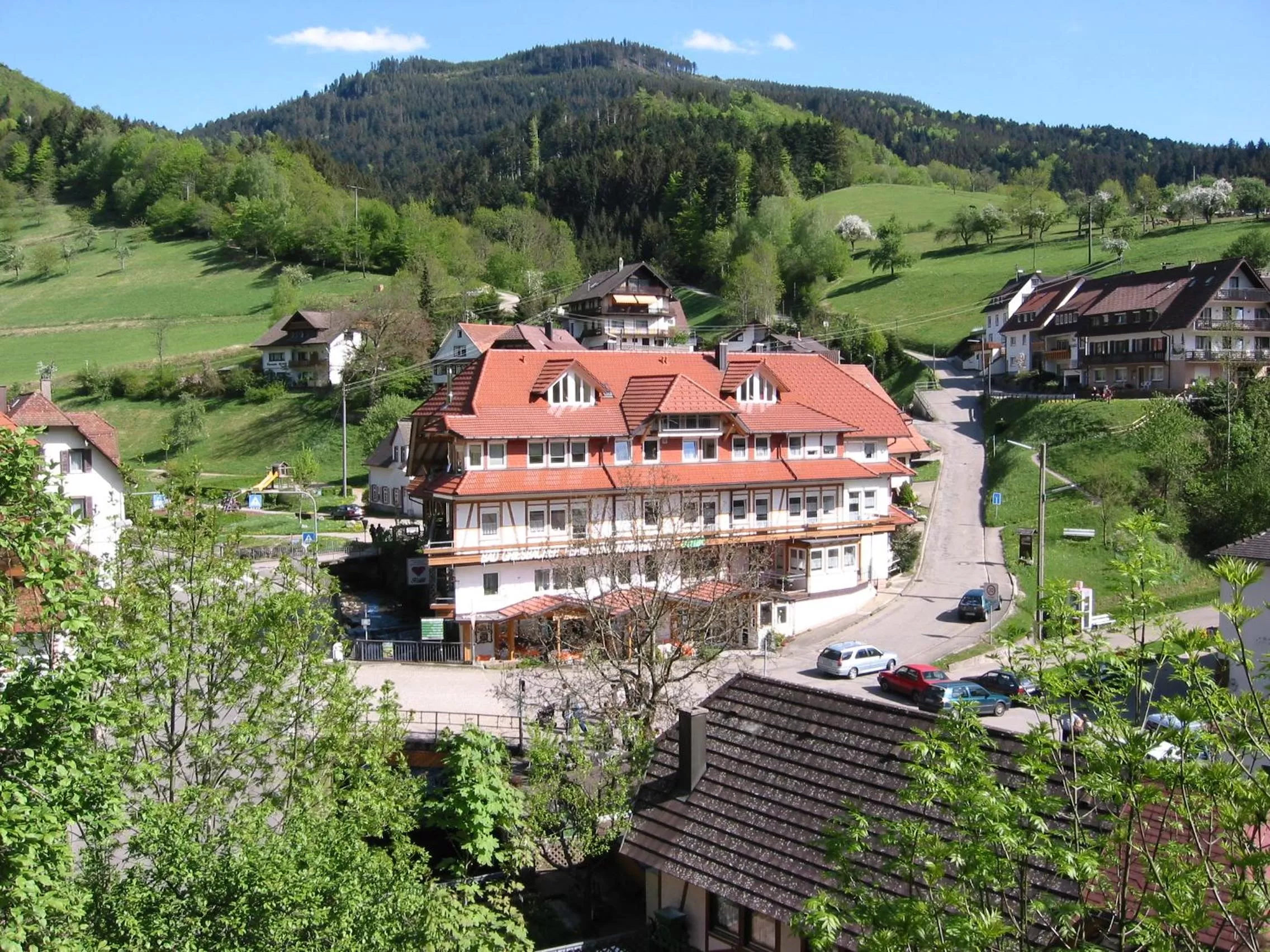 Mountain view in Kurparkhotel Faißt