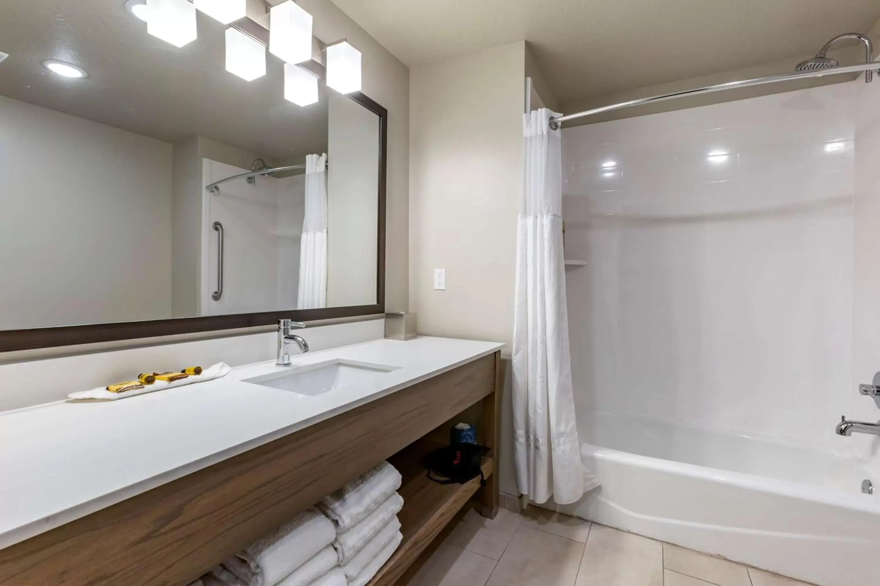 Bathroom in Best Western Plus Zion Canyon Inn & Suites