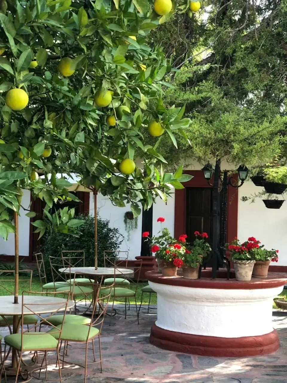 Garden in Hotel El Farol