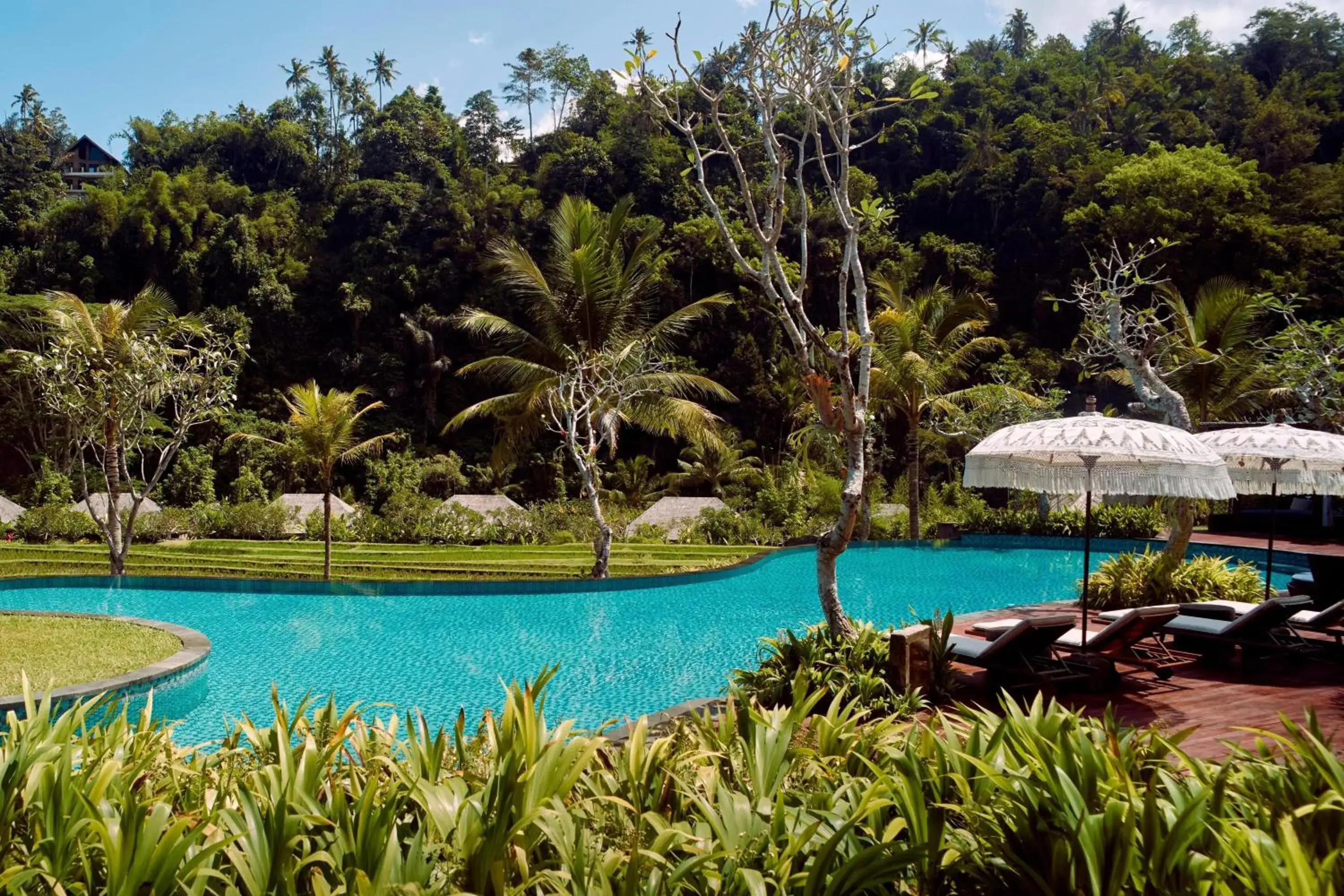 Swimming Pool in Mandapa A Ritz-Carlton Reserve