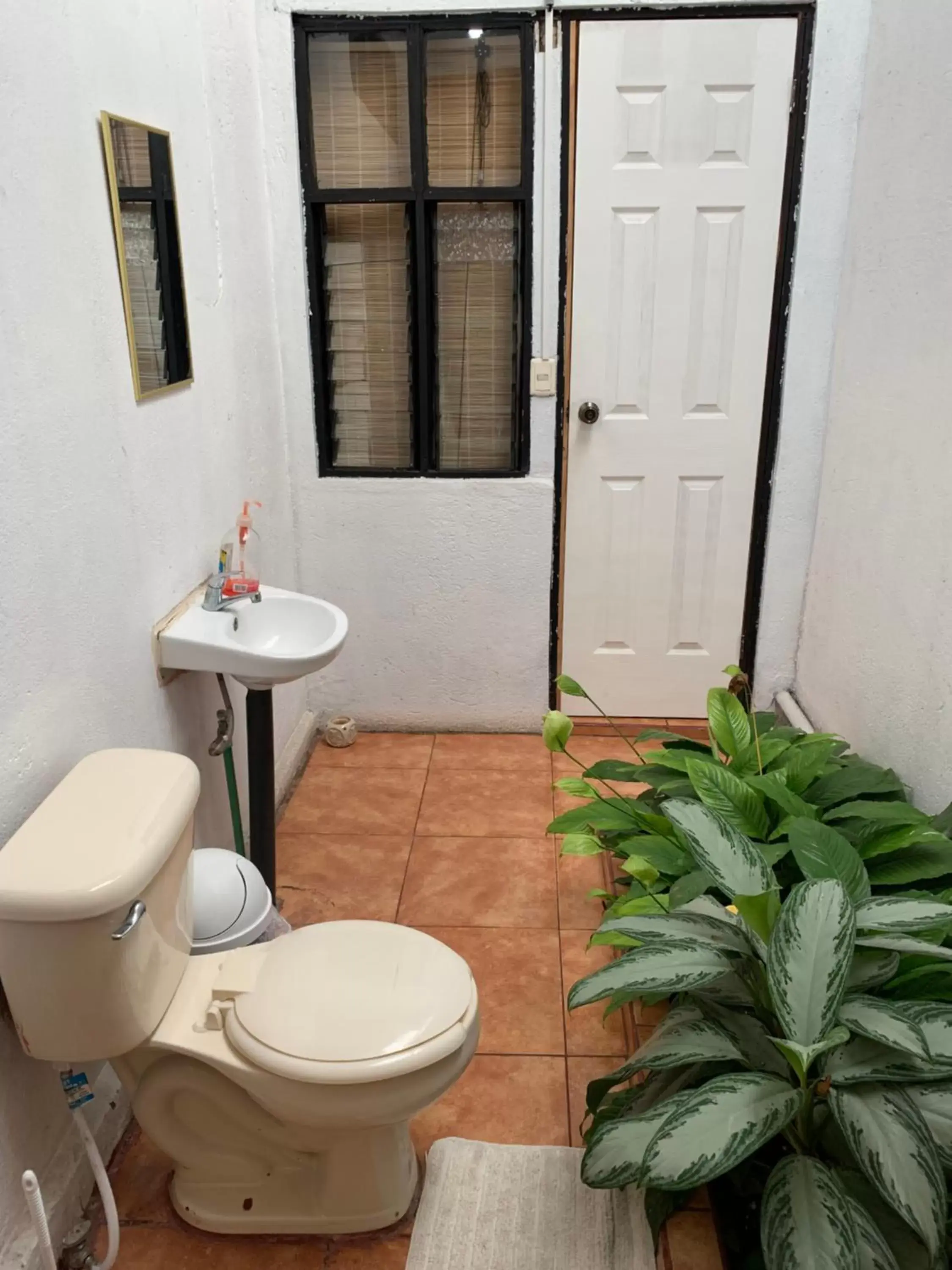 Toilet, Bathroom in Hotel Cortez Azul
