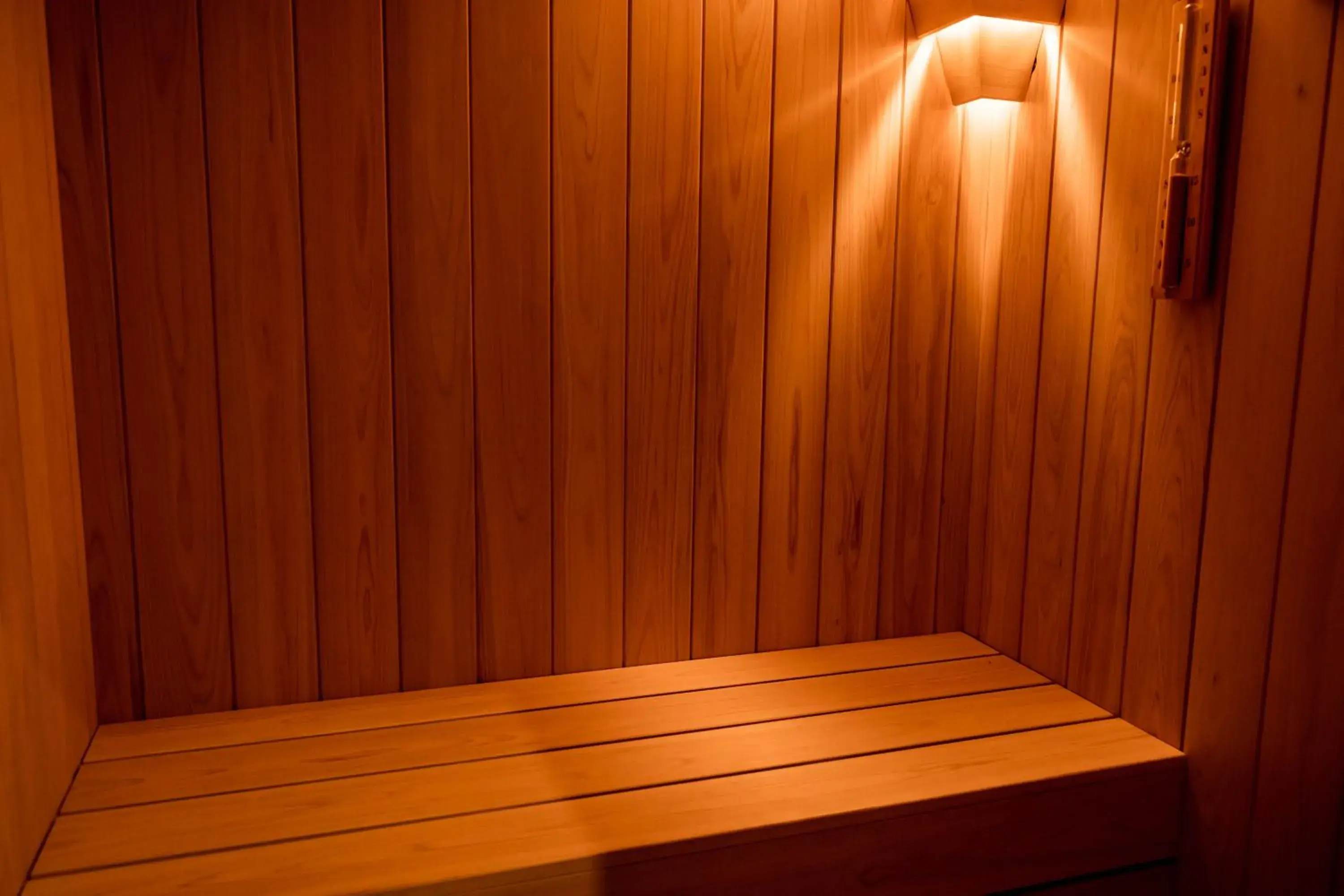 Sauna in Hakoneyumoto Onsen Yaeikan