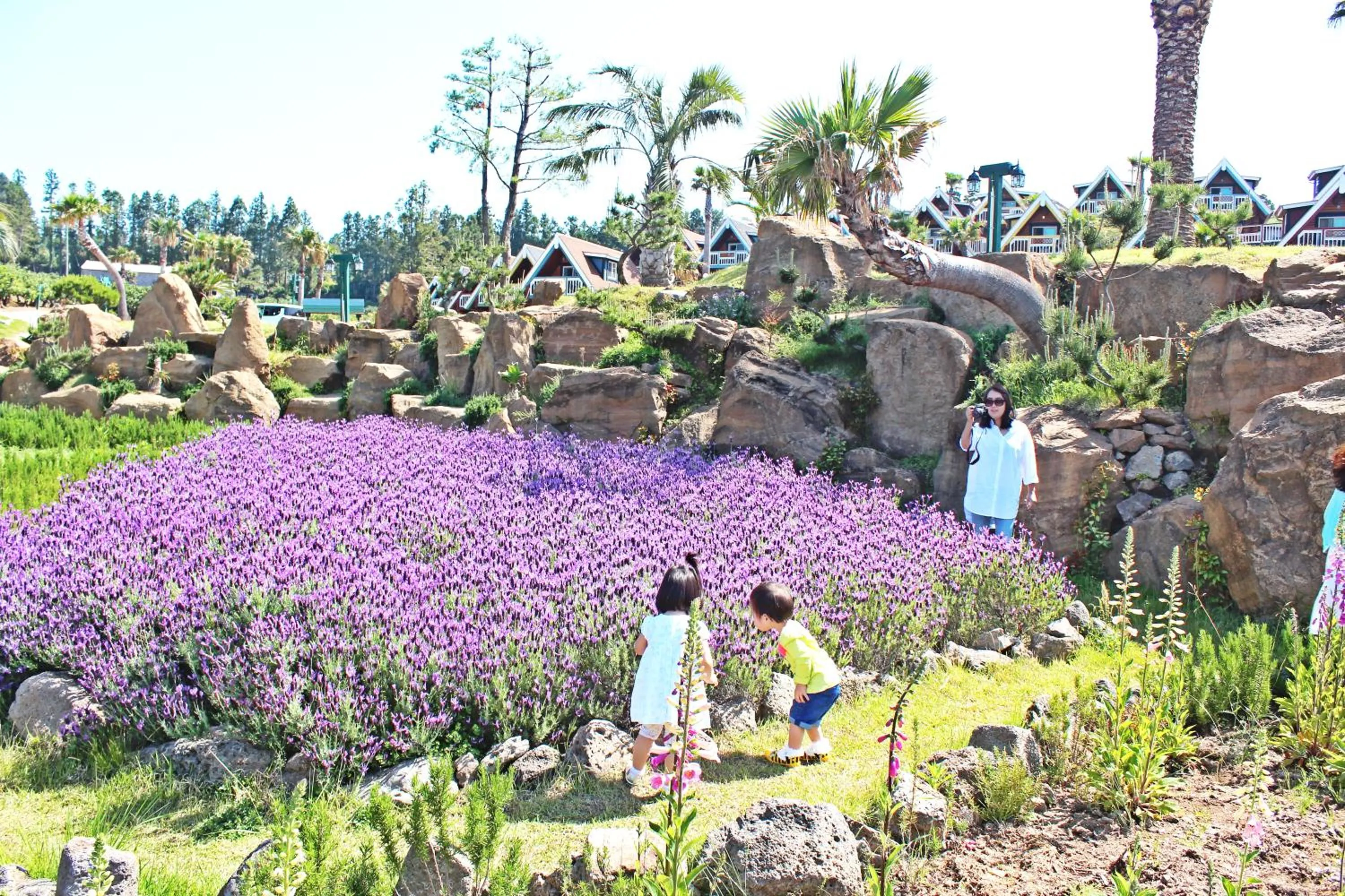 Garden in Jungmun Log Pension & Resort