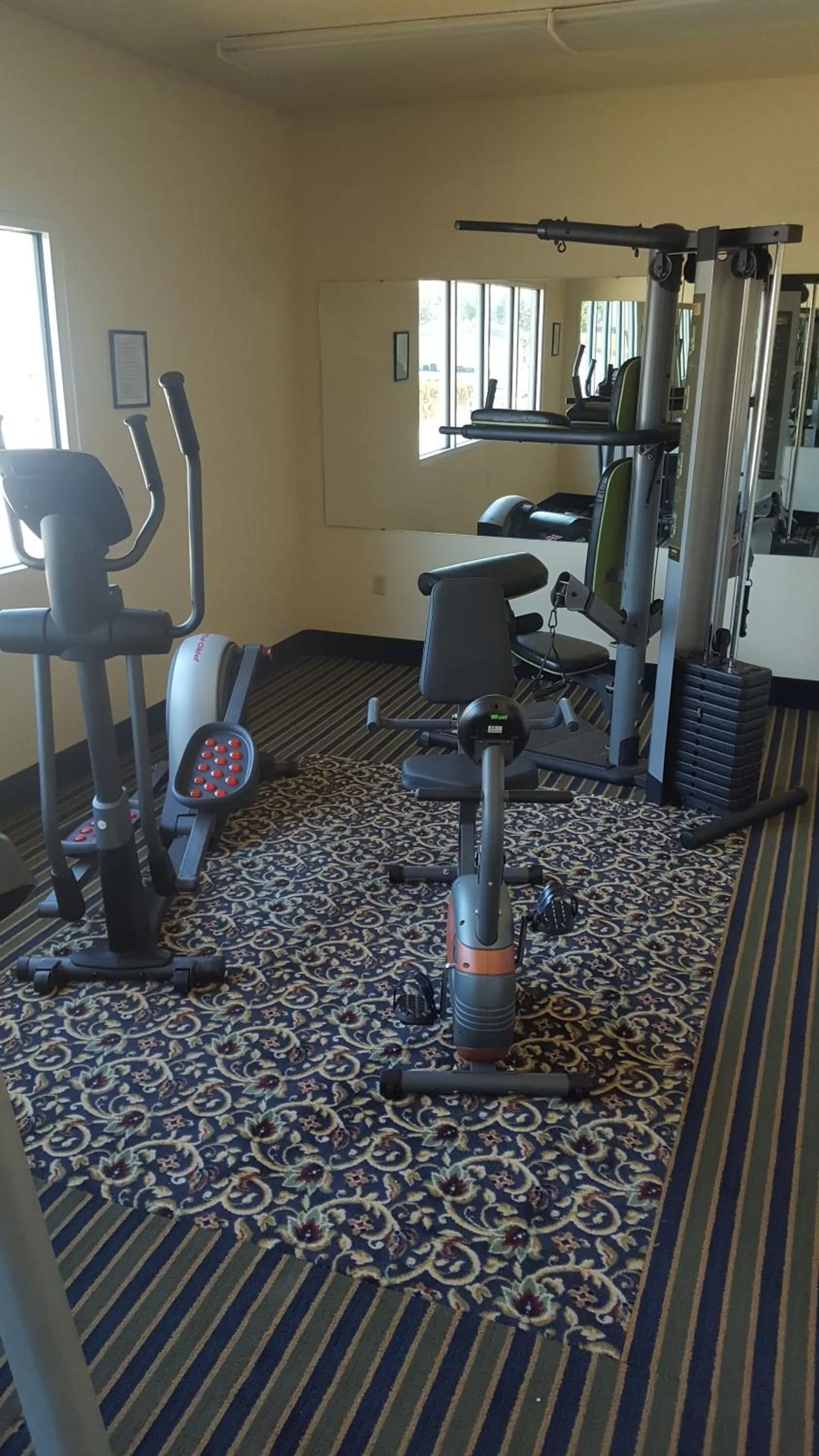 Fitness centre/facilities in The Rutledge Inn
