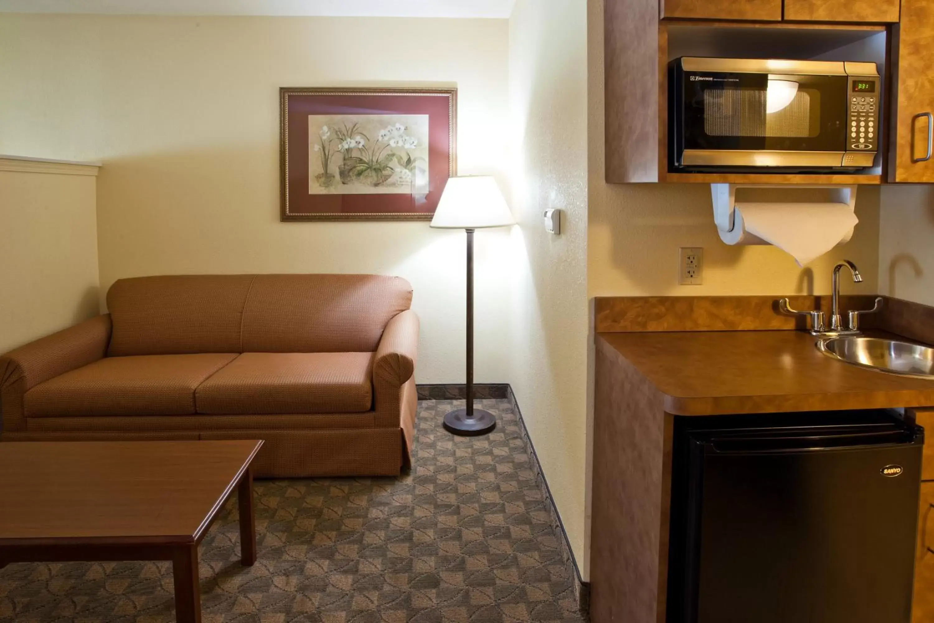 Queen Suite - Disability Access in Holiday Inn Express Hotel & Suites Austin SW - Sunset Valley, an IHG Hotel